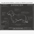 Downloadable dachshund dog breed blueprint artwork