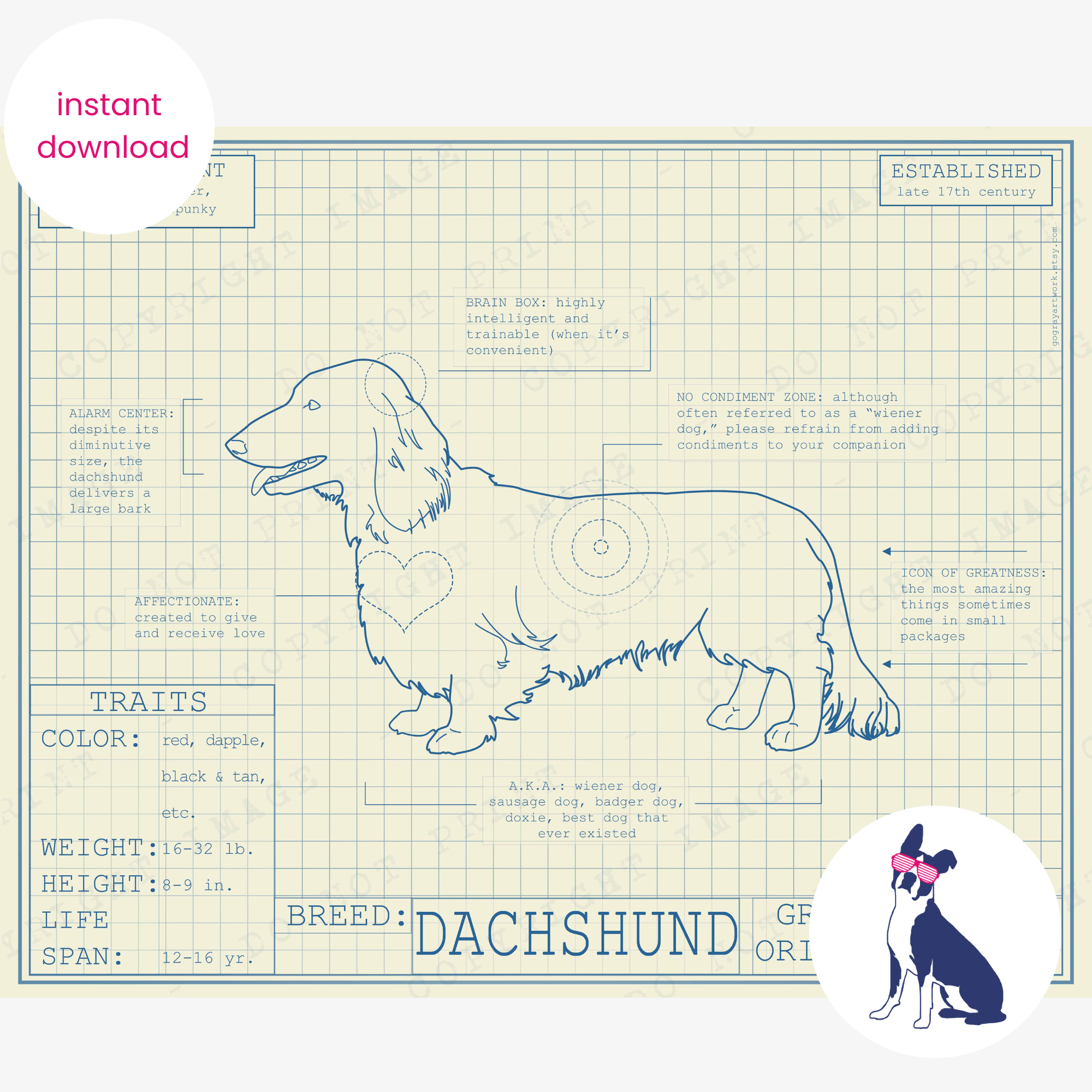 Downloadable dachshund dog breed blueprint artwork