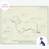 Downloadable dachshund dog breed blueprint artwork