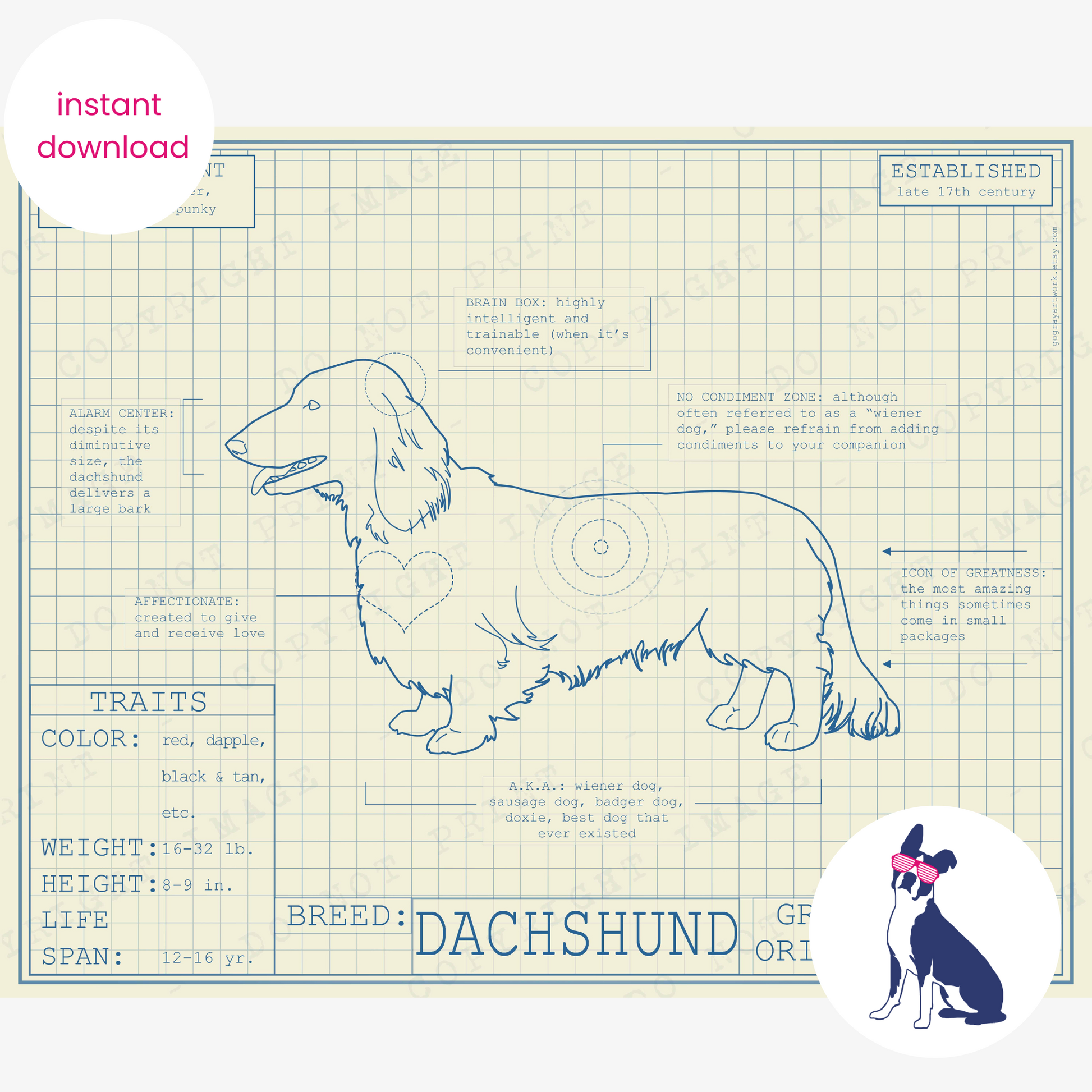 Downloadable dachshund dog breed blueprint artwork