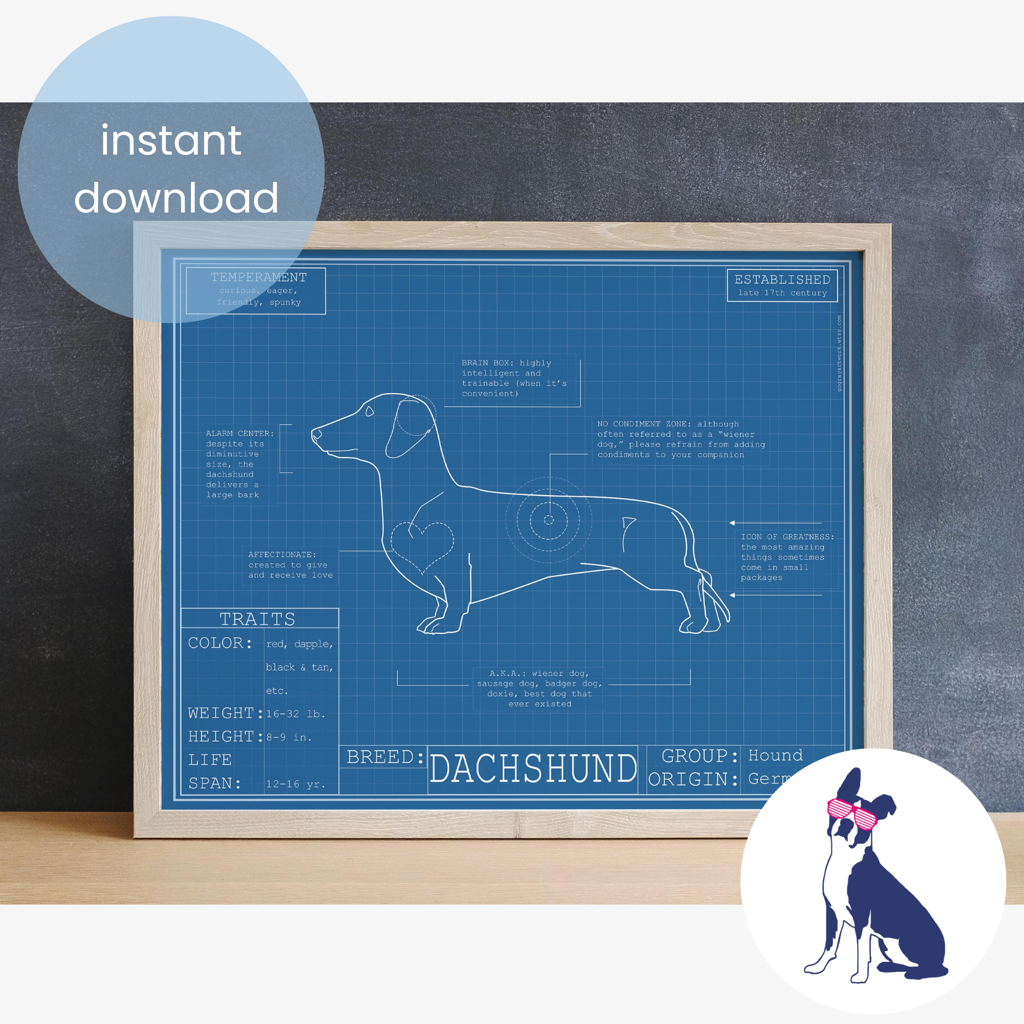 Downloadable dachshund dog breed blueprint artwork