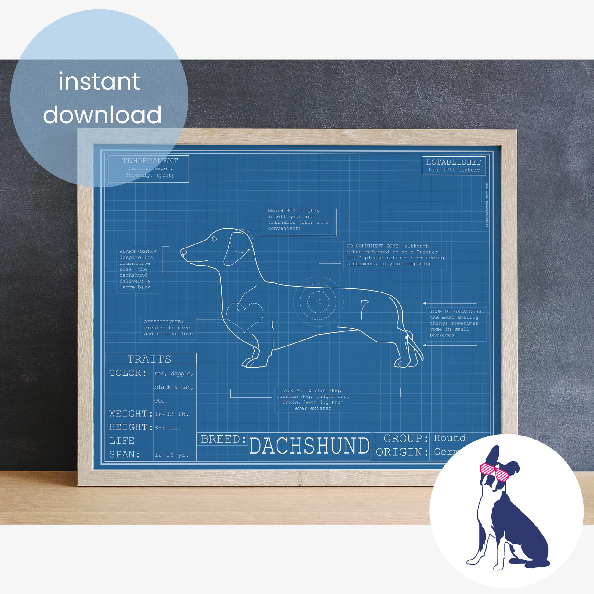 Downloadable dachshund dog breed blueprint artwork
