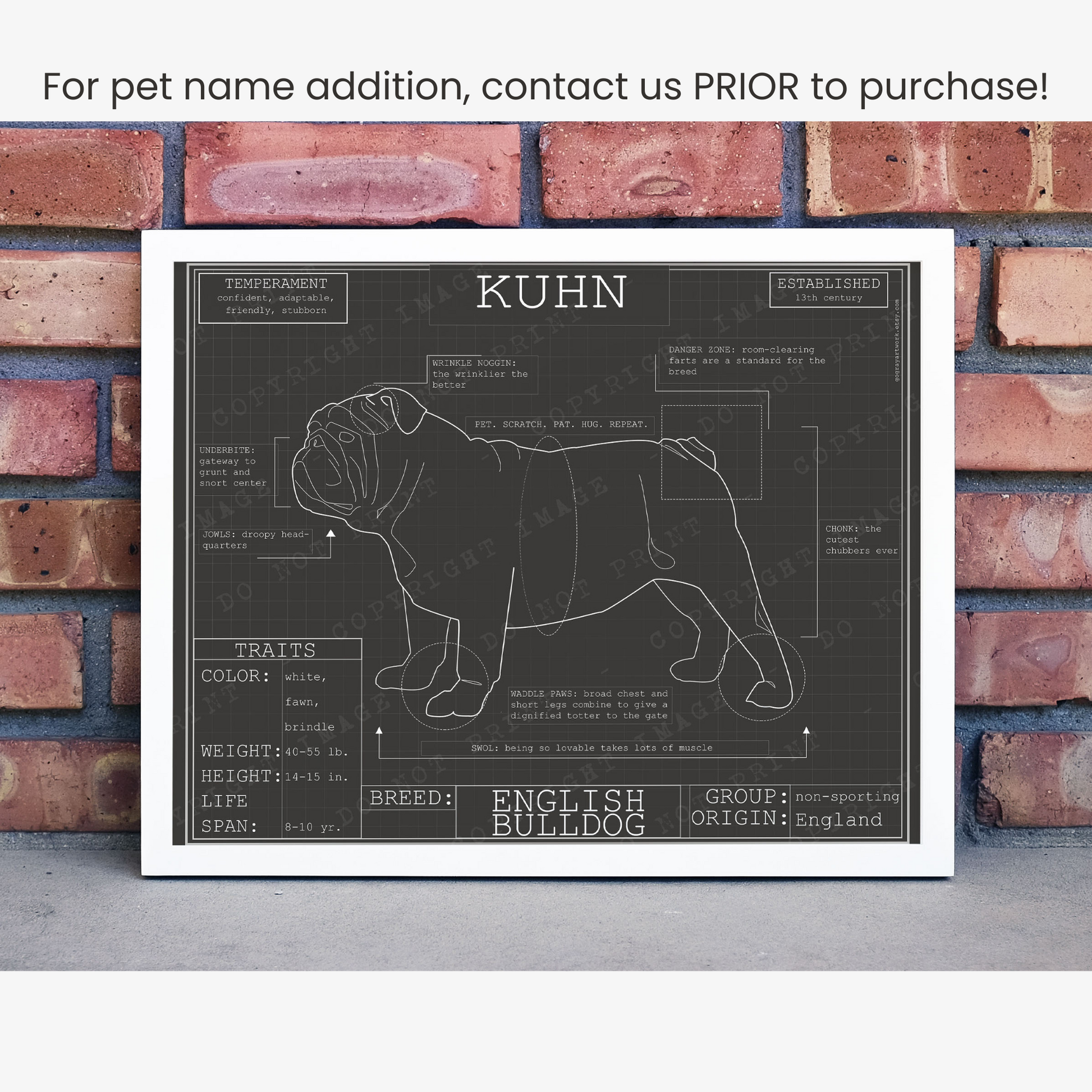 Downloadable English Bulldog dog breed blueprint artwork