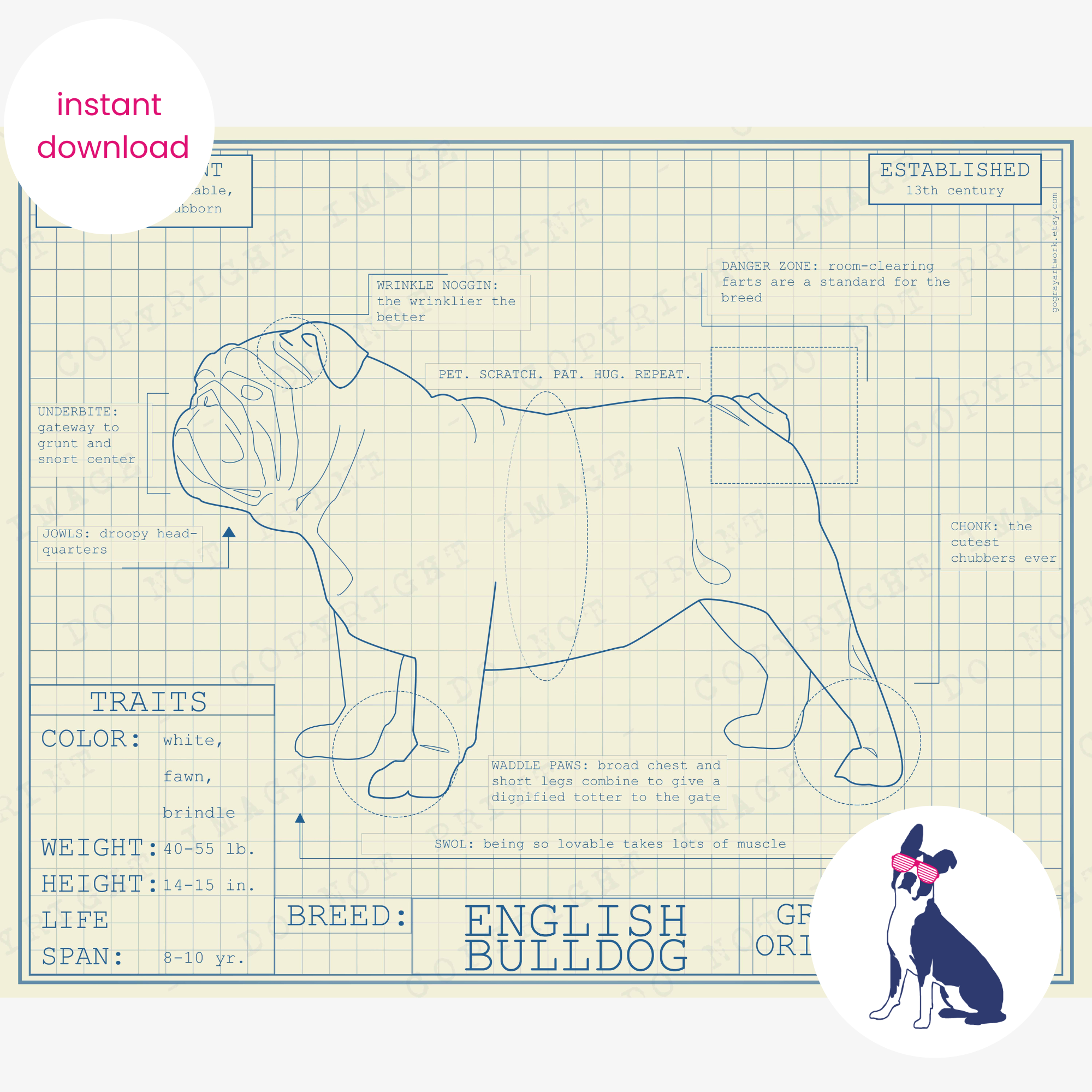 Downloadable English Bulldog dog breed blueprint artwork