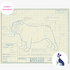 Downloadable English Bulldog dog breed blueprint artwork