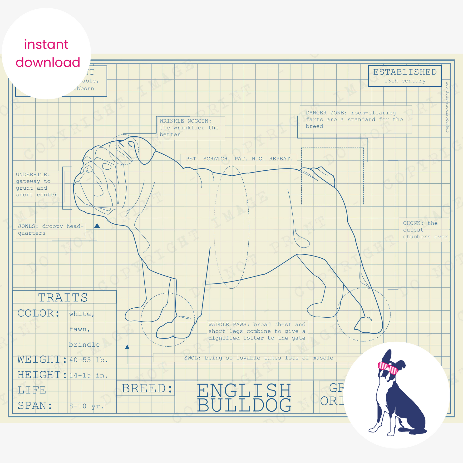 Downloadable English Bulldog dog breed blueprint artwork