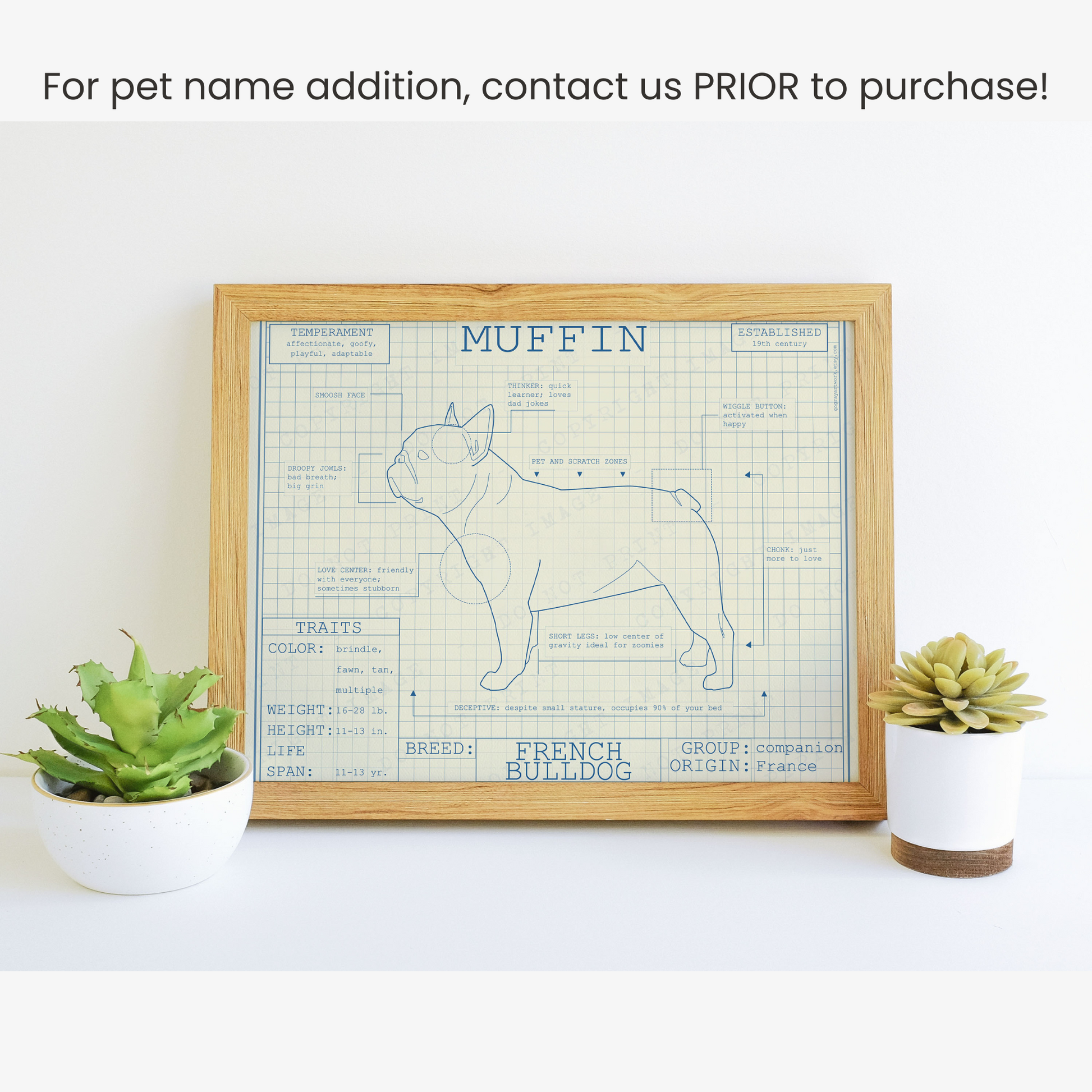 Downloadable French Bulldog dog breed blueprint artwork