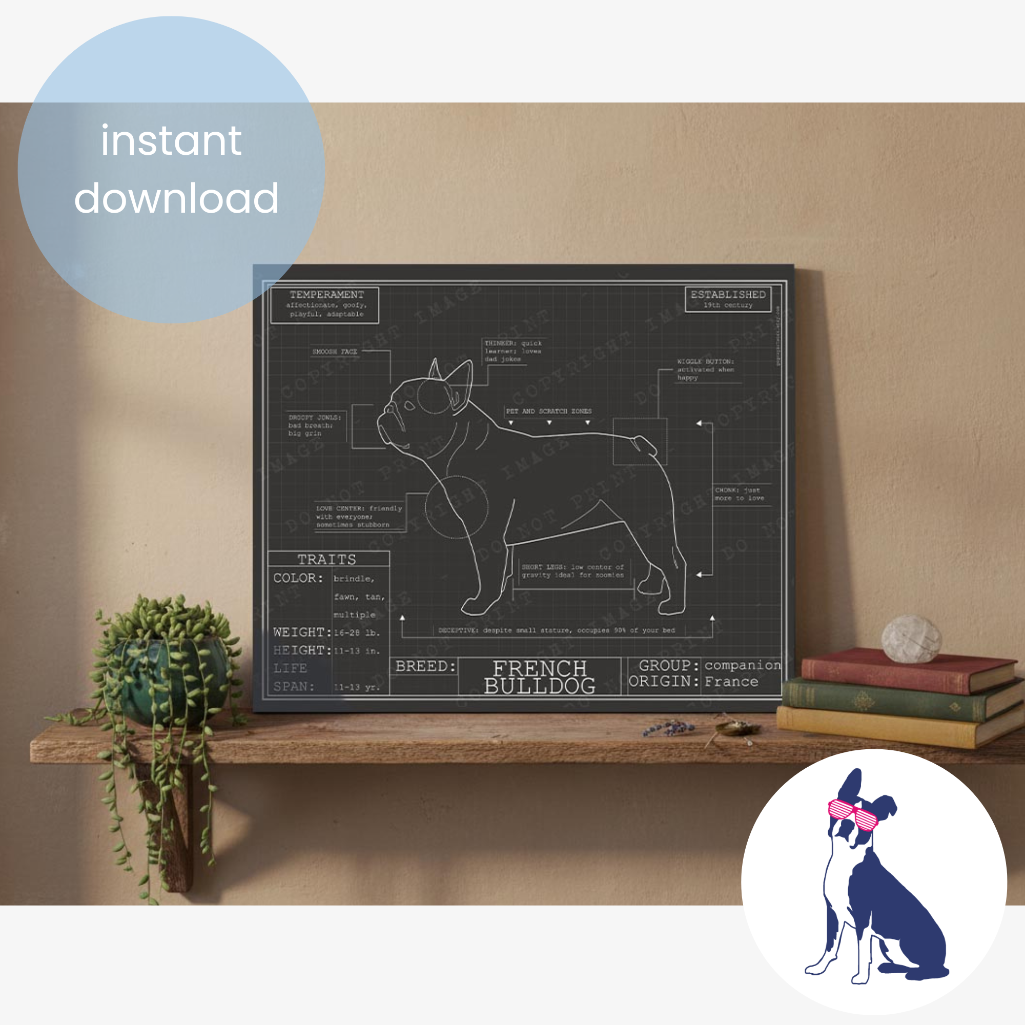 Downloadable French bulldog dog breed blueprint artwork