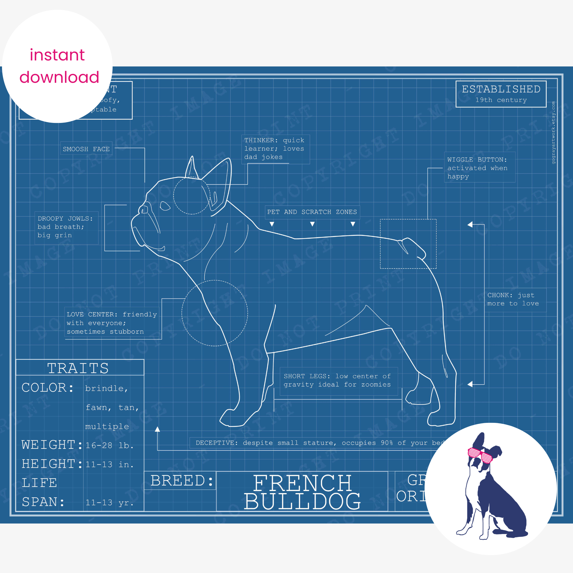 Downloadable French bulldog dog breed blueprint artwork