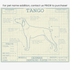 Downloadable German Shorthaired Pointer dog breed blueprint artwork