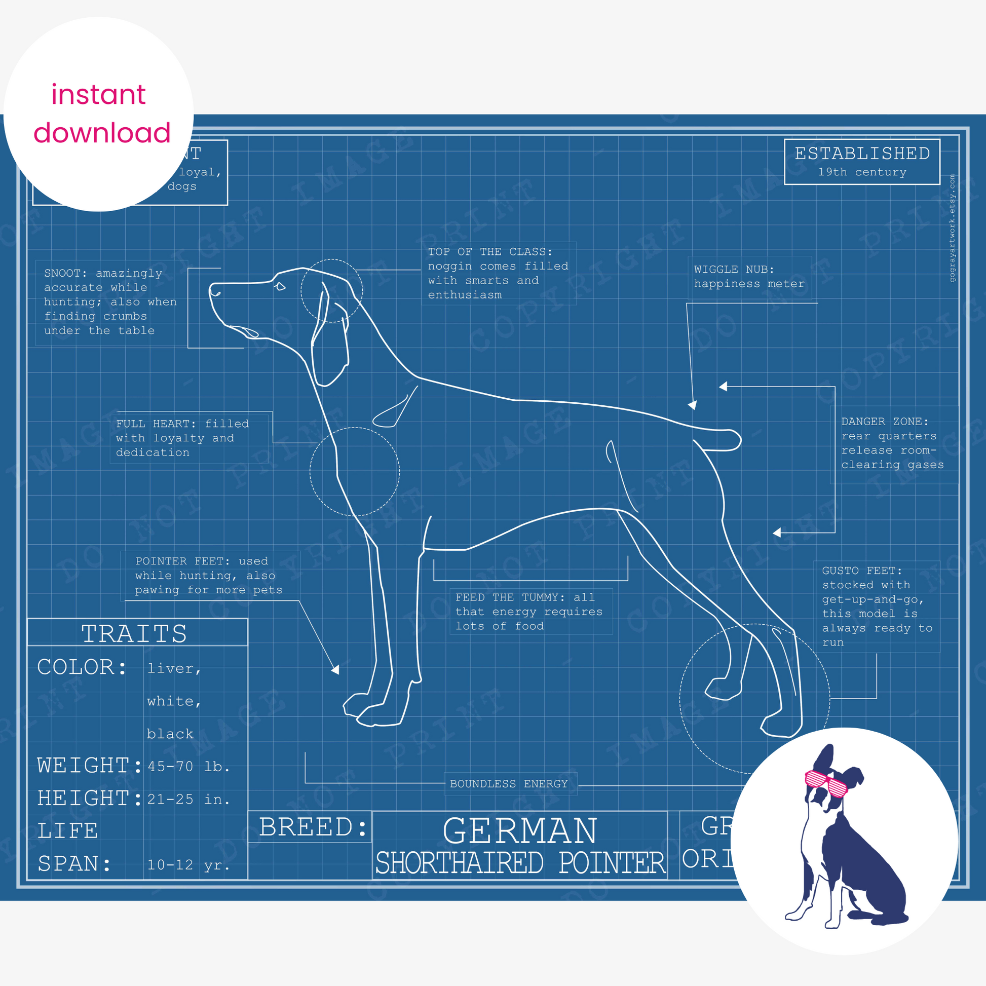 Downloadable German Shorthaired Pointer dog breed blueprint artwork