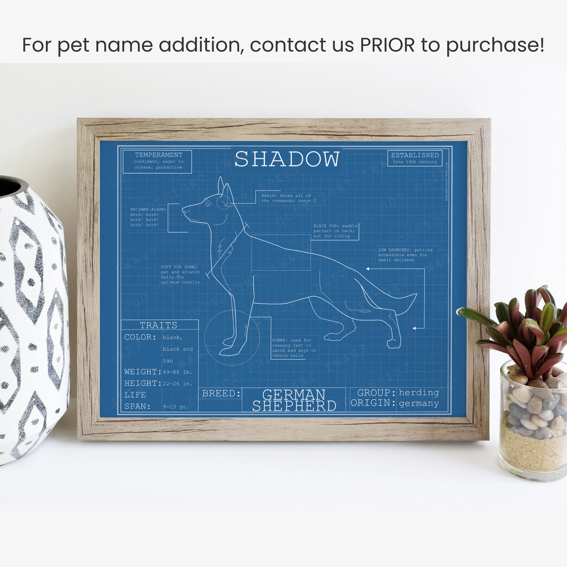 Downloadable German shepherd  dog breed blueprint artwork
