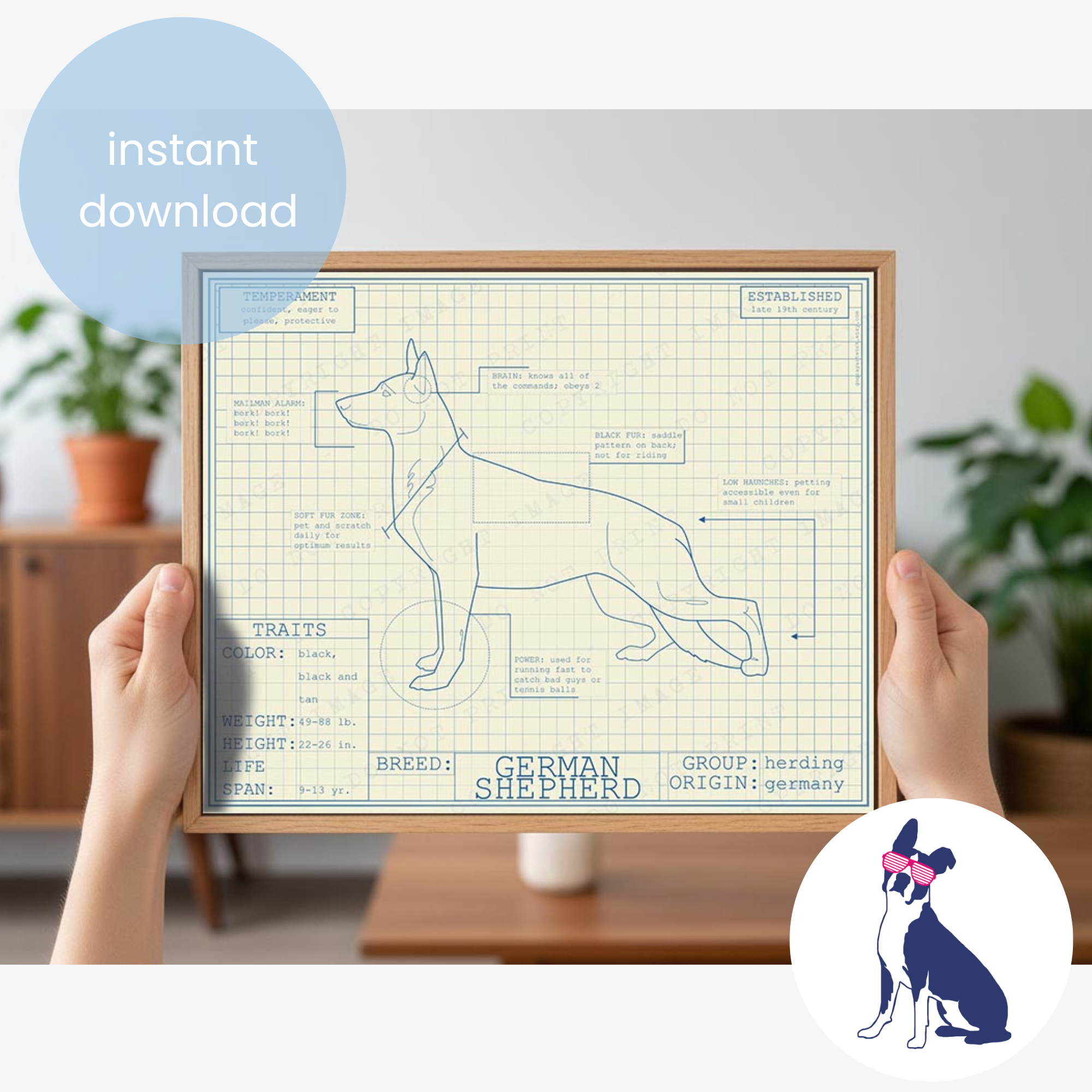 Downloadable German shepherd  dog breed blueprint artwork