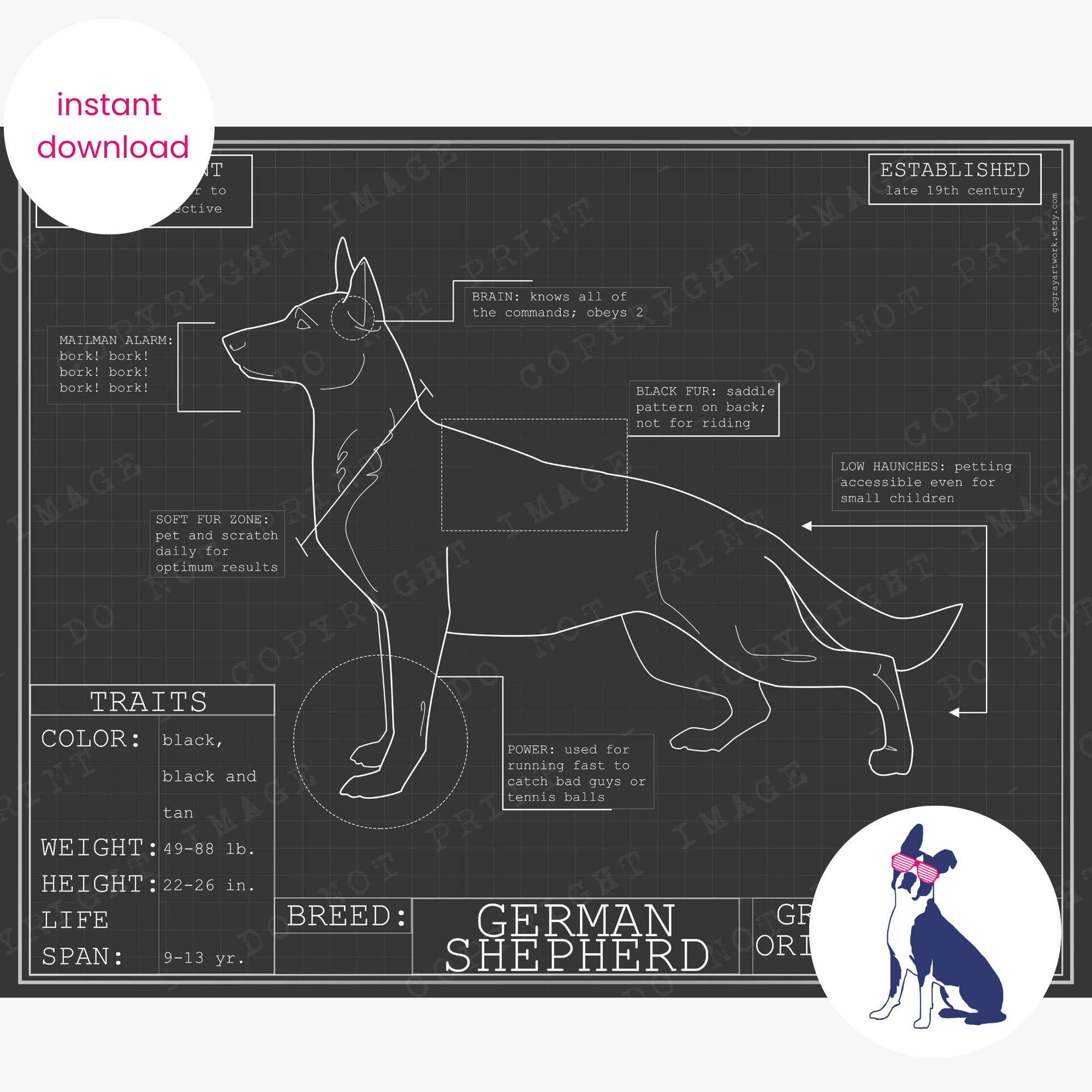 Downloadable German shepherd  dog breed blueprint artwork