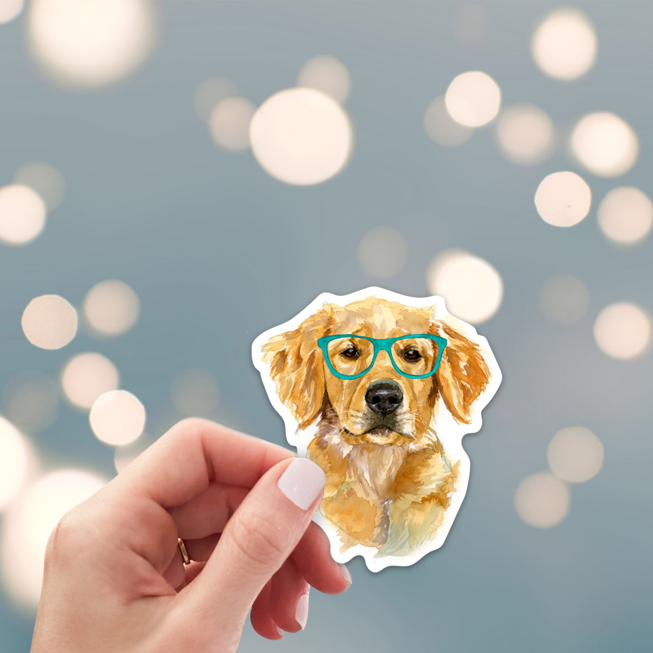 Bespectacled golden retriever sticker