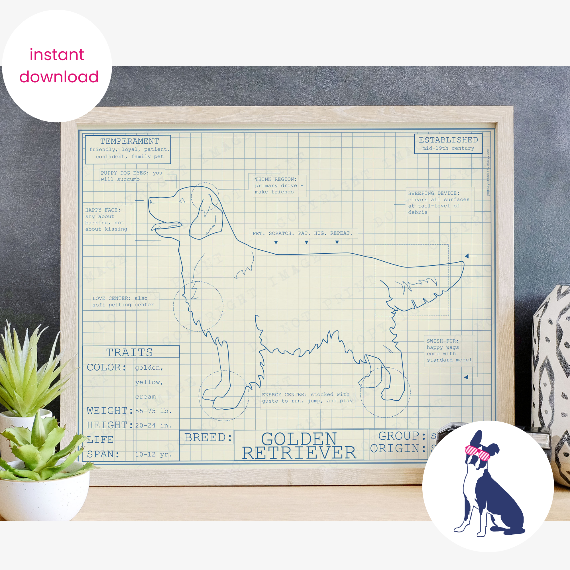 Downloadable golden retriever dog breed blueprint artwork