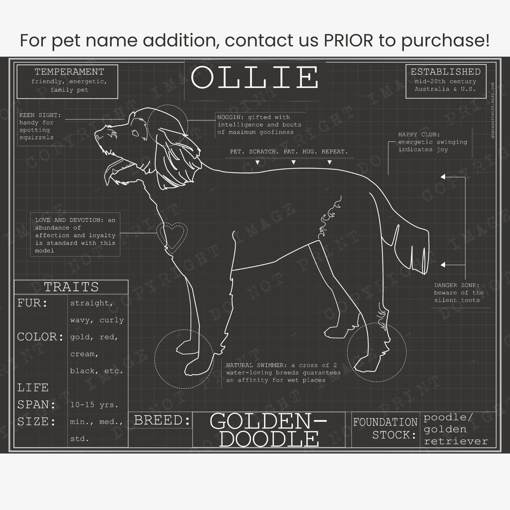 Downloadable Goldendoodle dog breed blueprint artwork