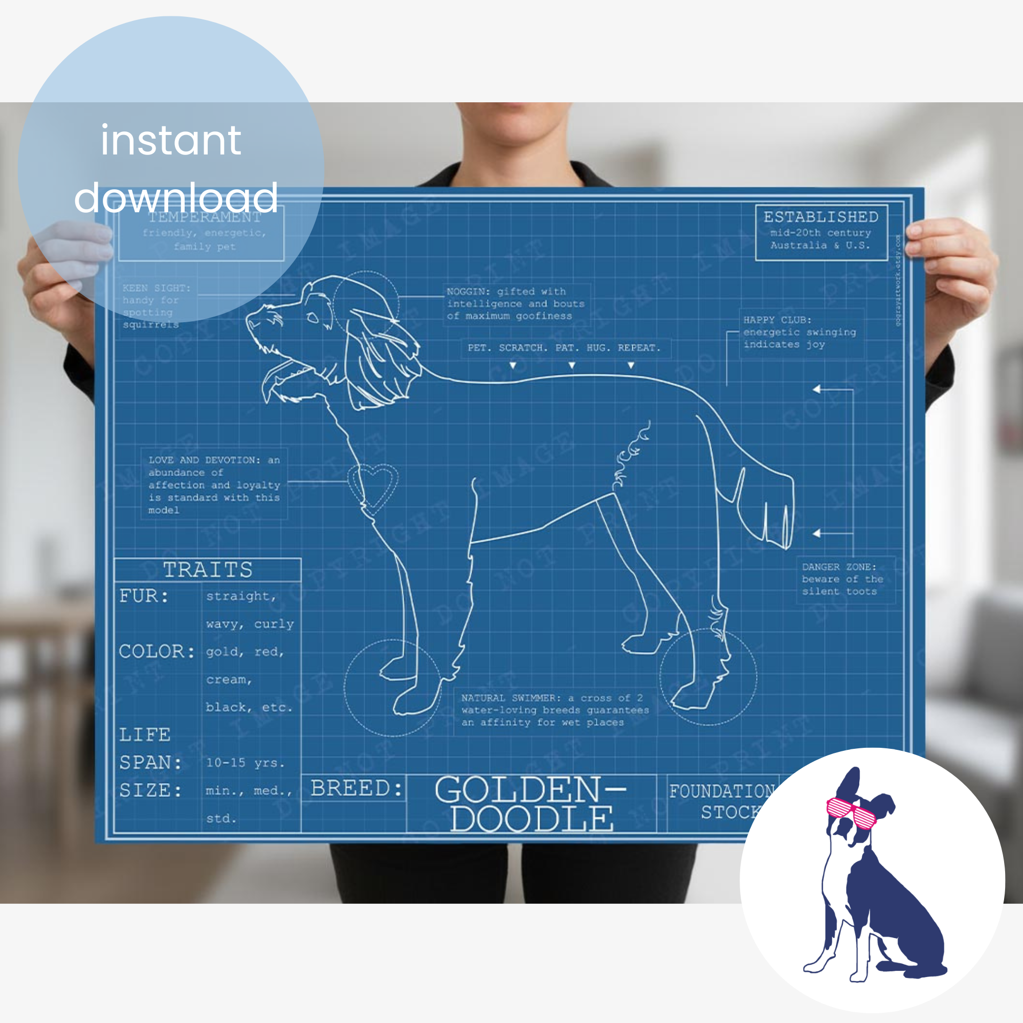 Downloadable Goldendoodle dog breed blueprint artwork