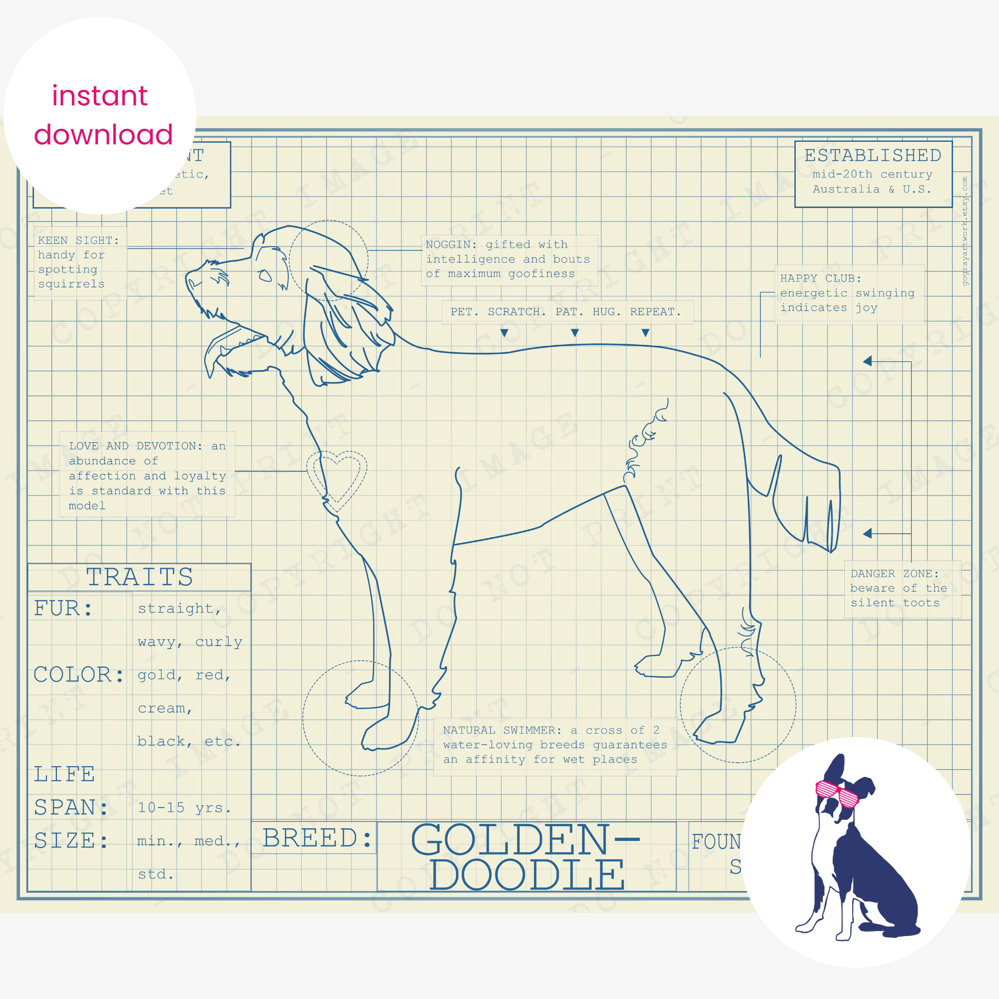 Downloadable Goldendoodle dog breed blueprint artwork
