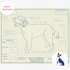 Downloadable Goldendoodle dog breed blueprint artwork