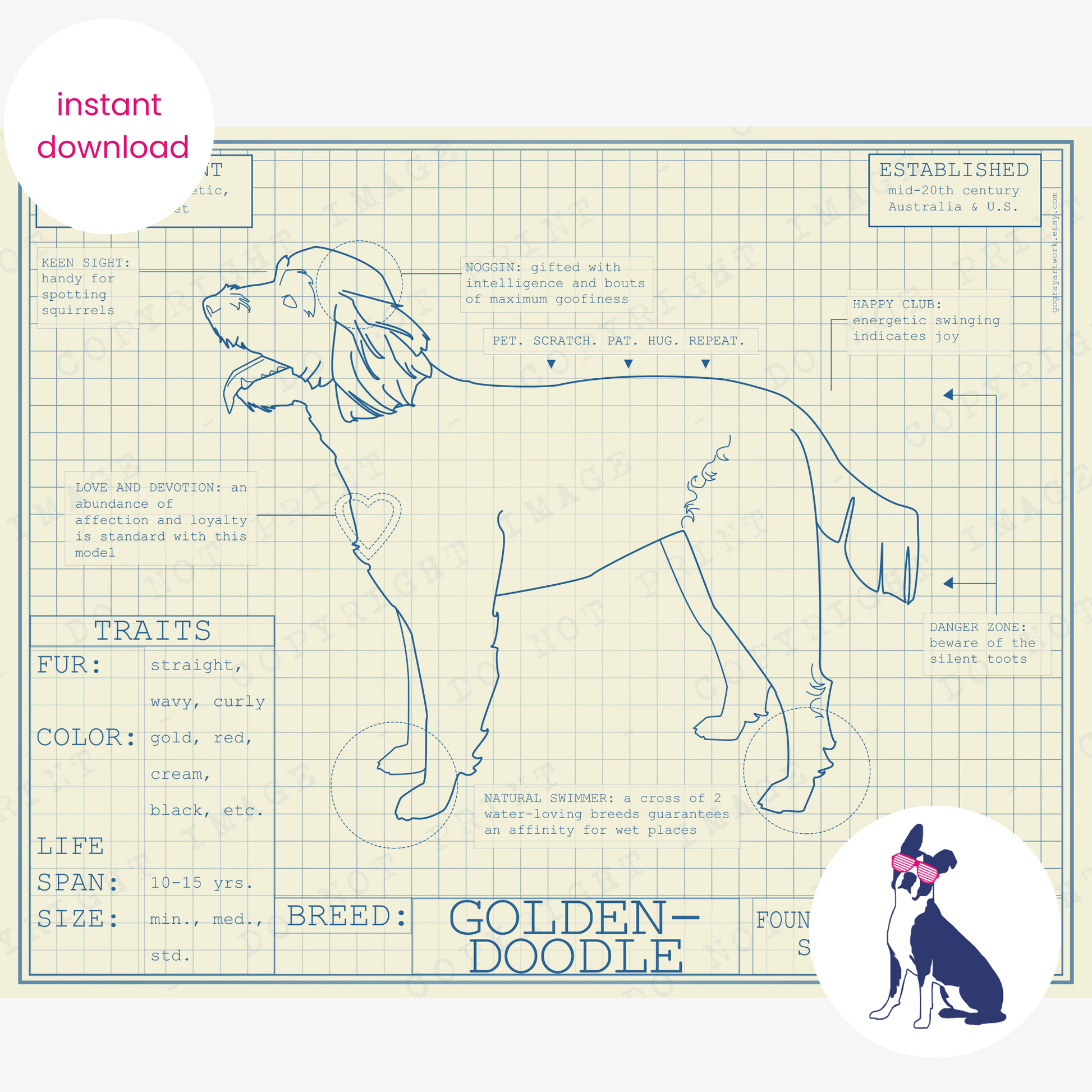 Downloadable Goldendoodle dog breed blueprint artwork