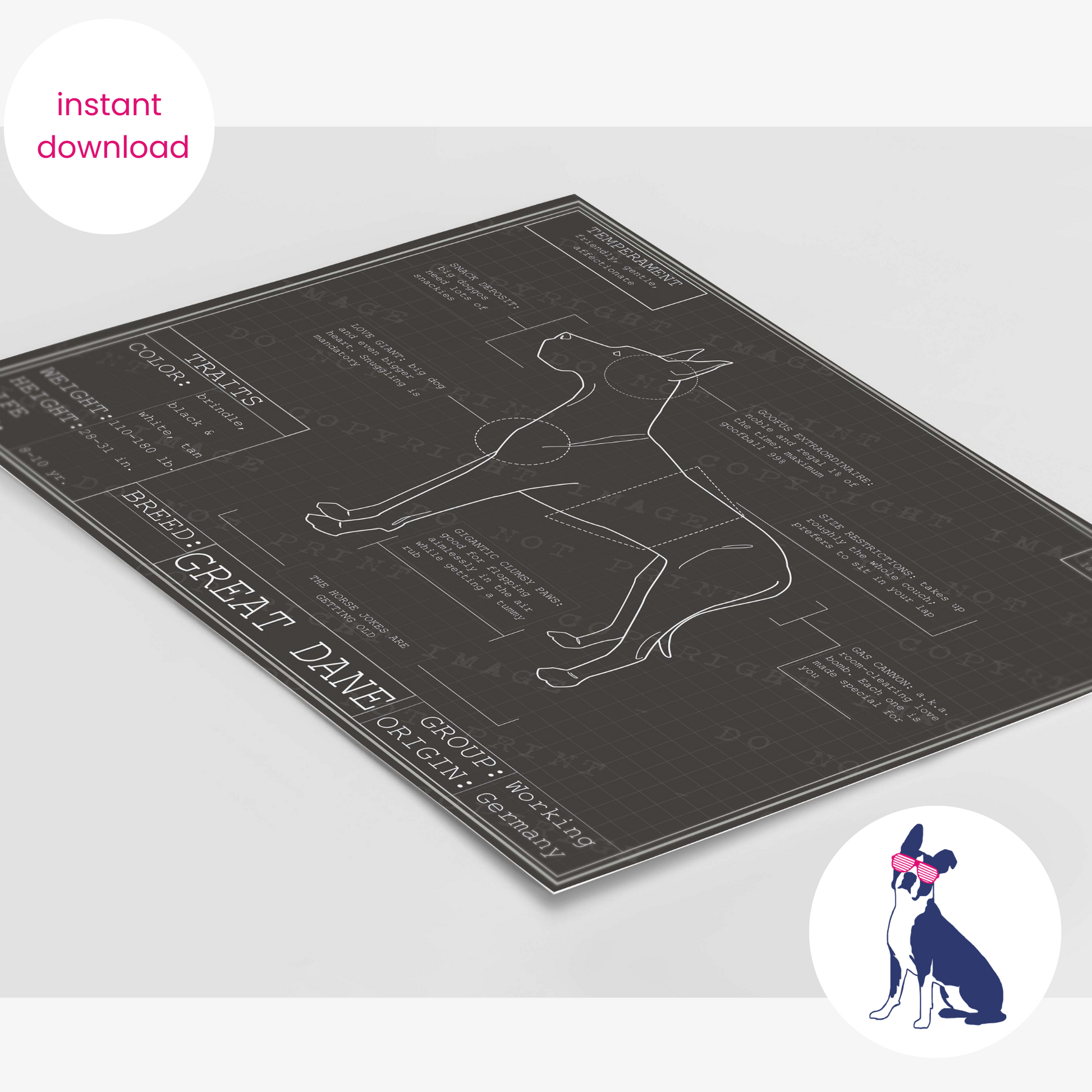 Downloadable Great Dane dog breed blueprint artwork