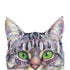 Acrylic painting of gray tabby cat peeking