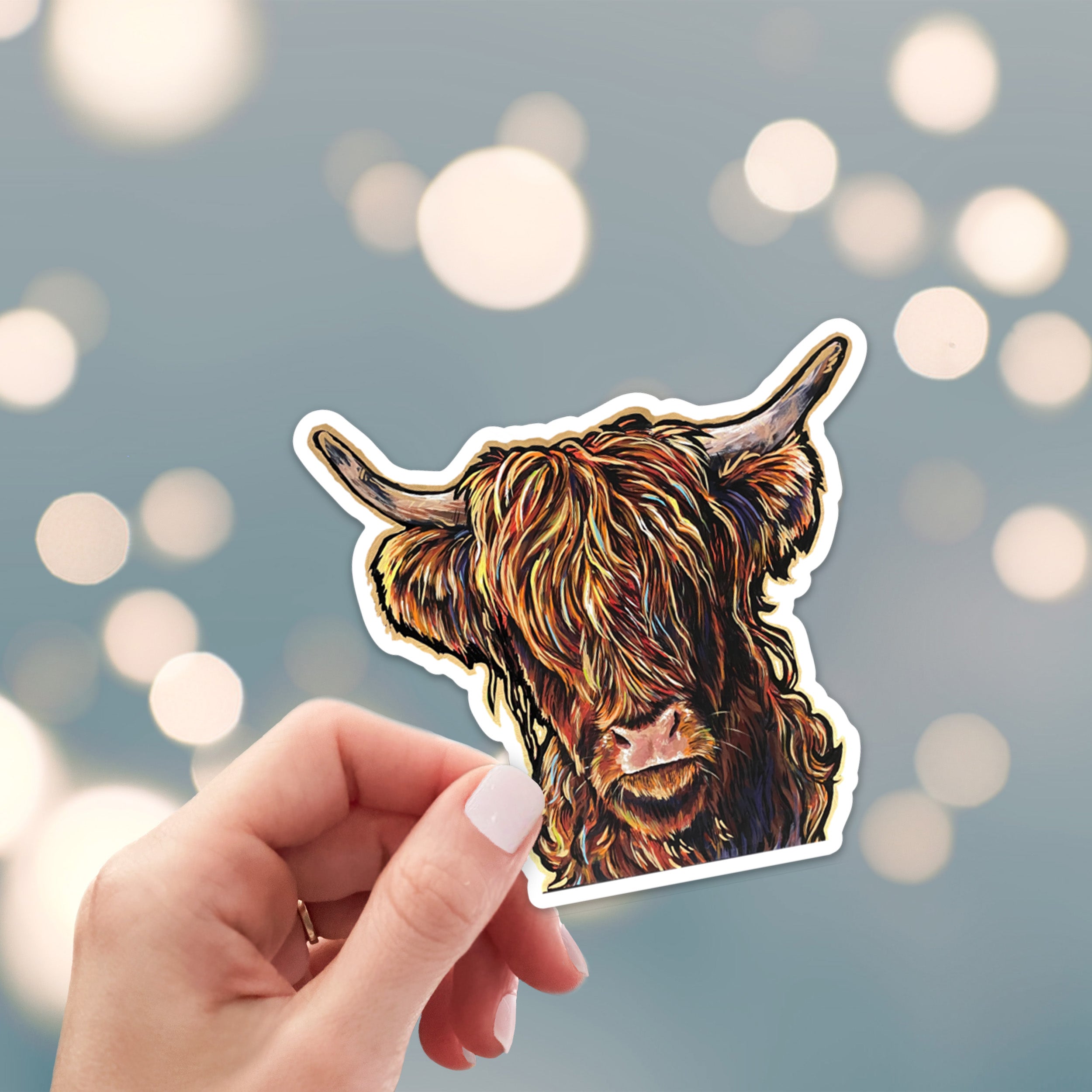 Highland cow sticker
