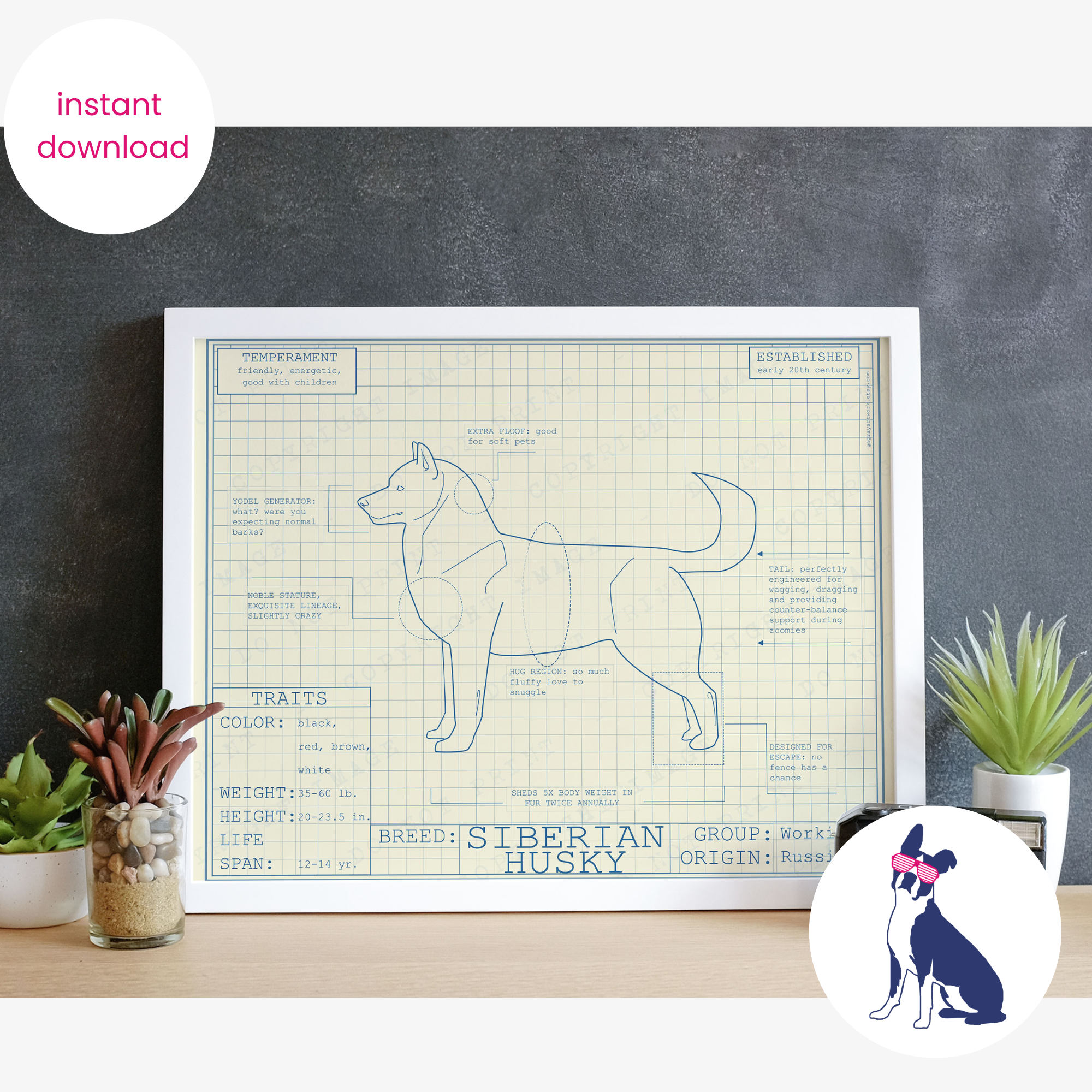 Downloadable Siberian Husky dog breed blueprint artwork