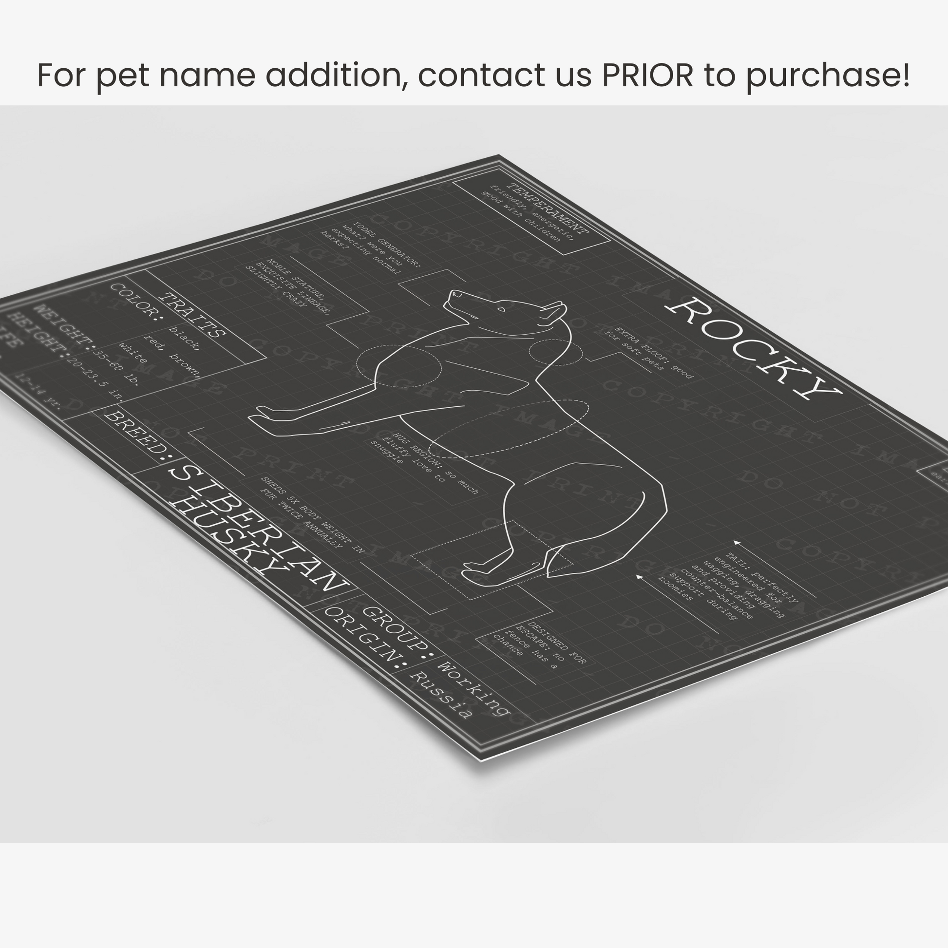 Downloadable Siberian Husky dog breed blueprint artwork