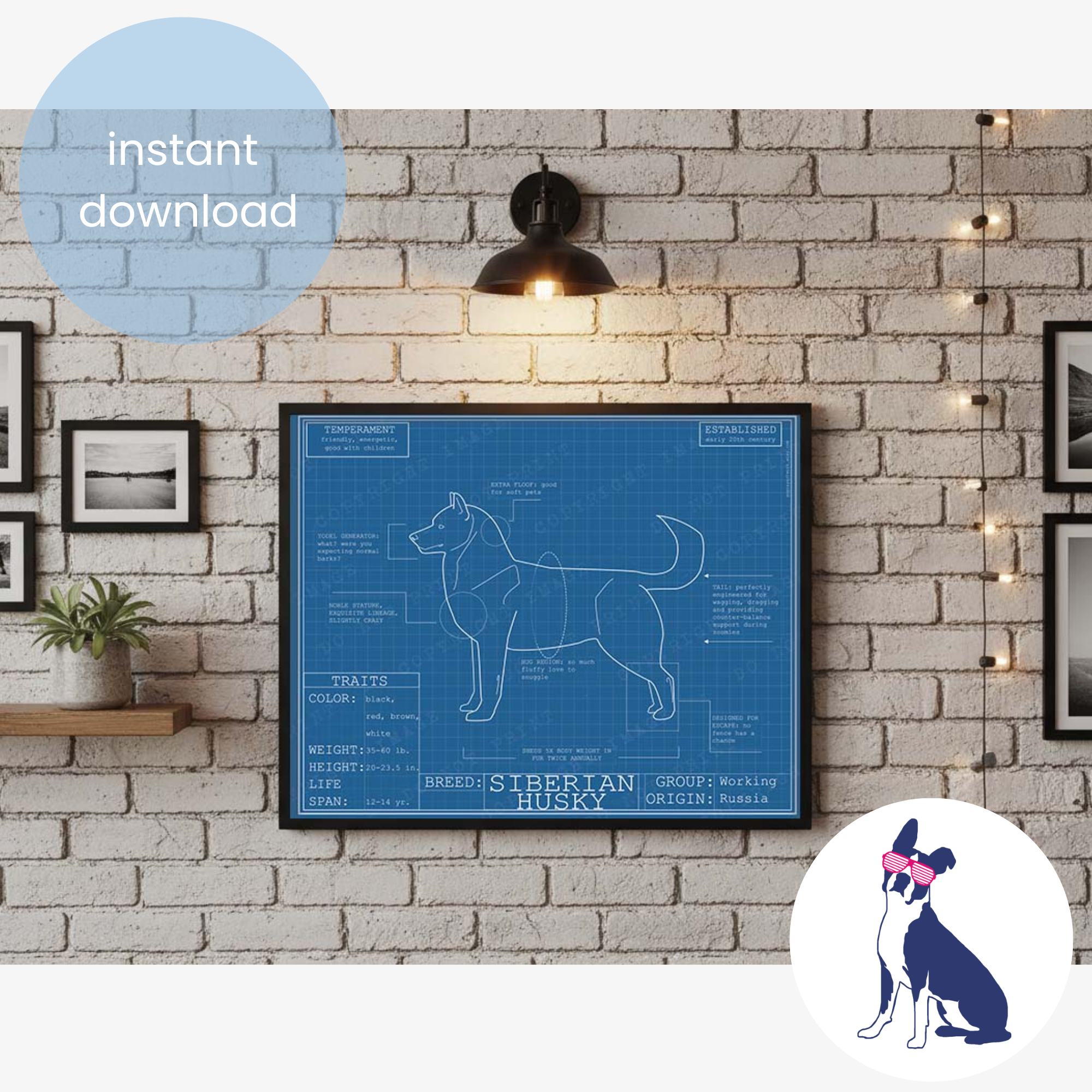 Downloadable Siberian Husky dog breed blueprint artwork