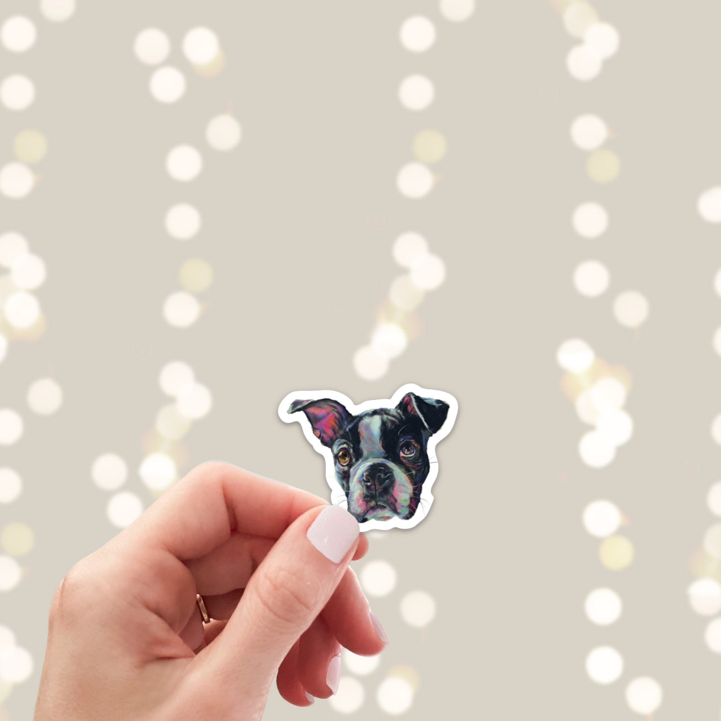 Boston terrier sticker