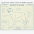 Downloadable Irish Wolfhound dog breed blueprint artwork