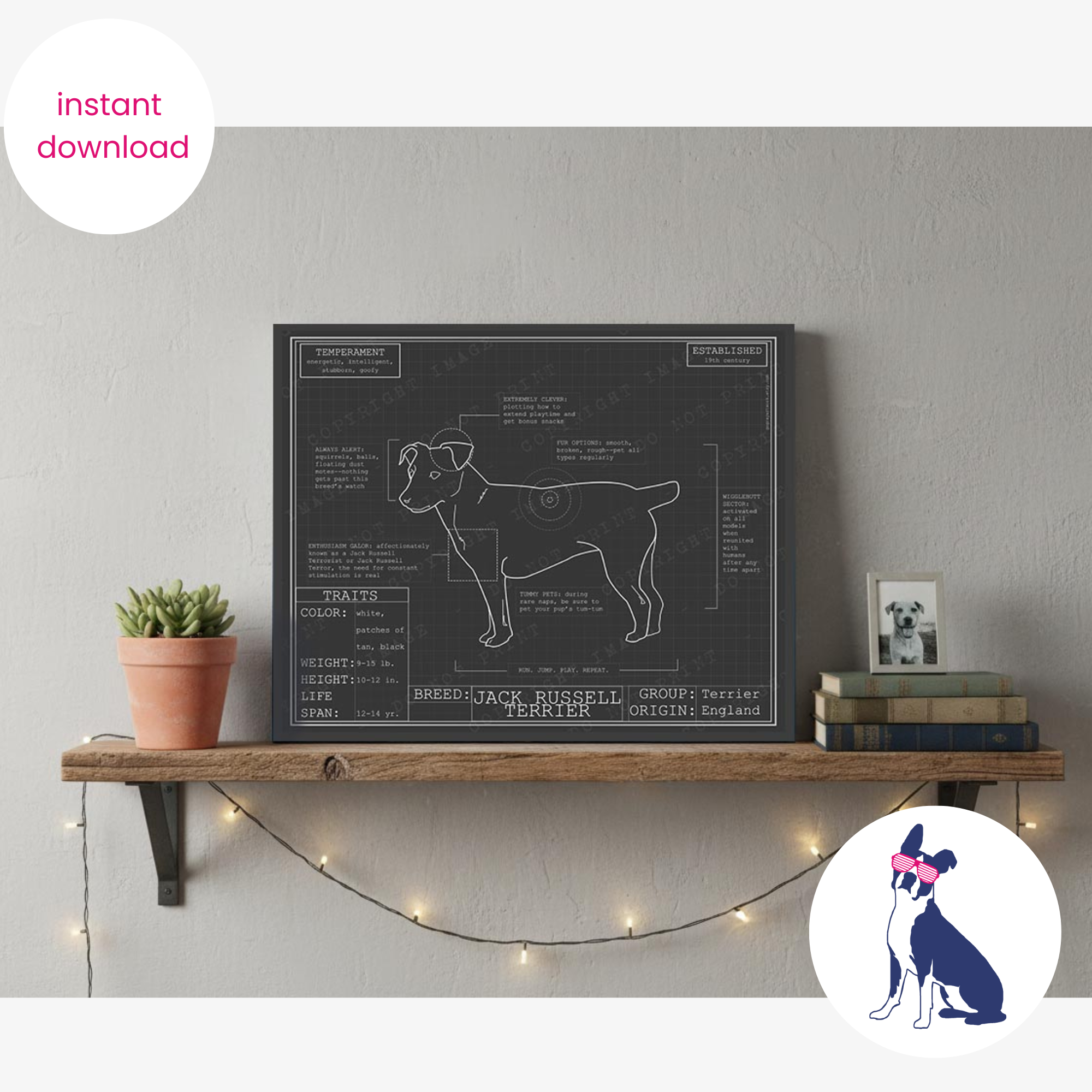 Downloadable Jack Russell Terrier dog breed blueprint artwork