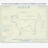 Downloadable Jack Russell Terrier dog breed blueprint artwork