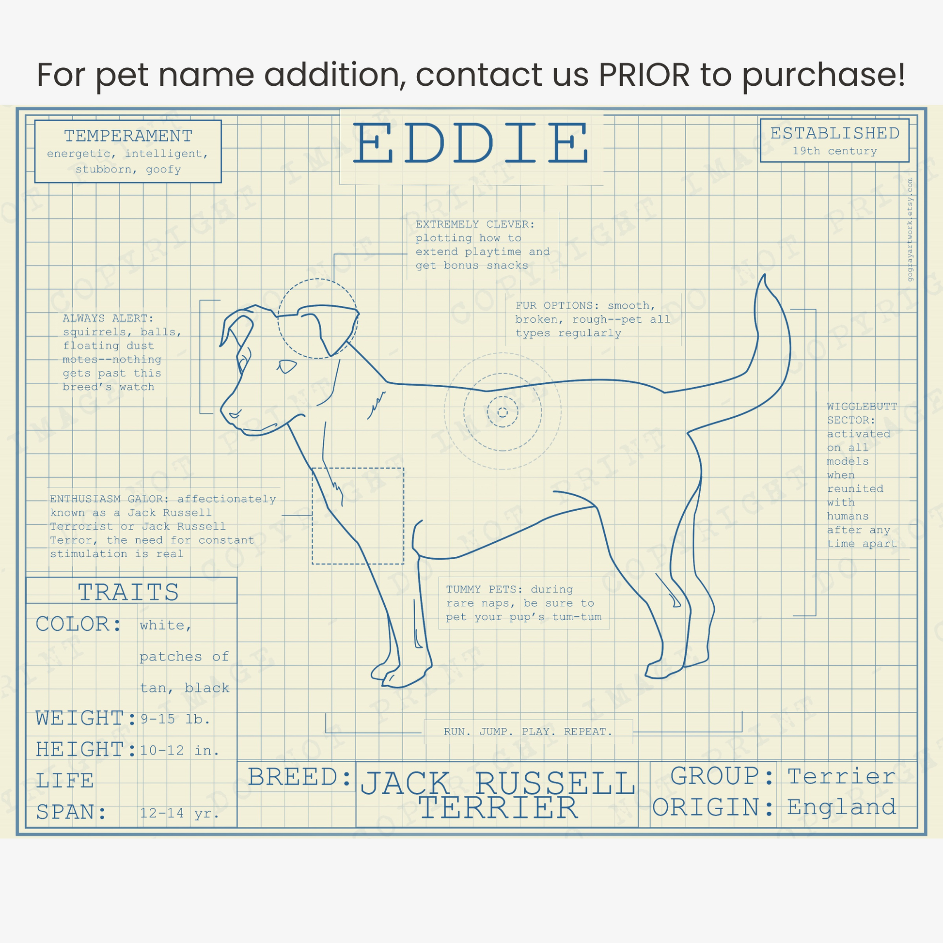 Downloadable Jack Russell Terrier dog breed blueprint artwork