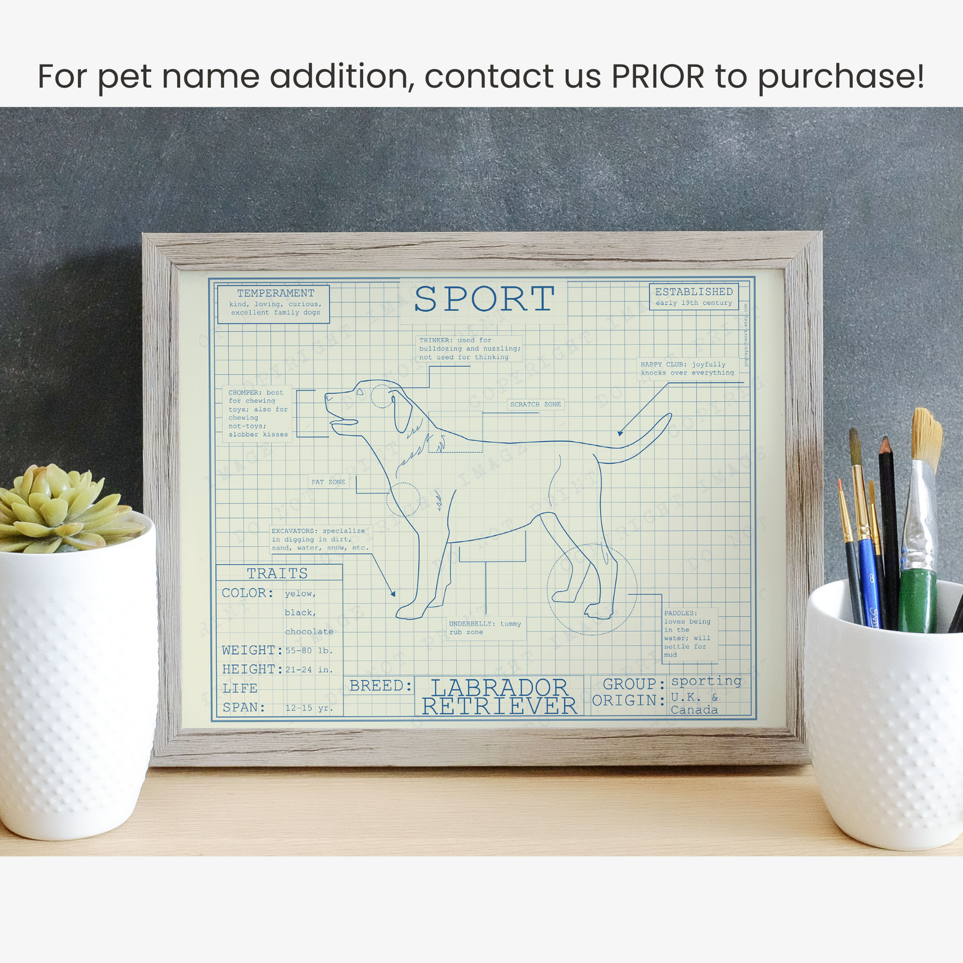 Downloadable Labrador retriever dog breed blueprint artwork