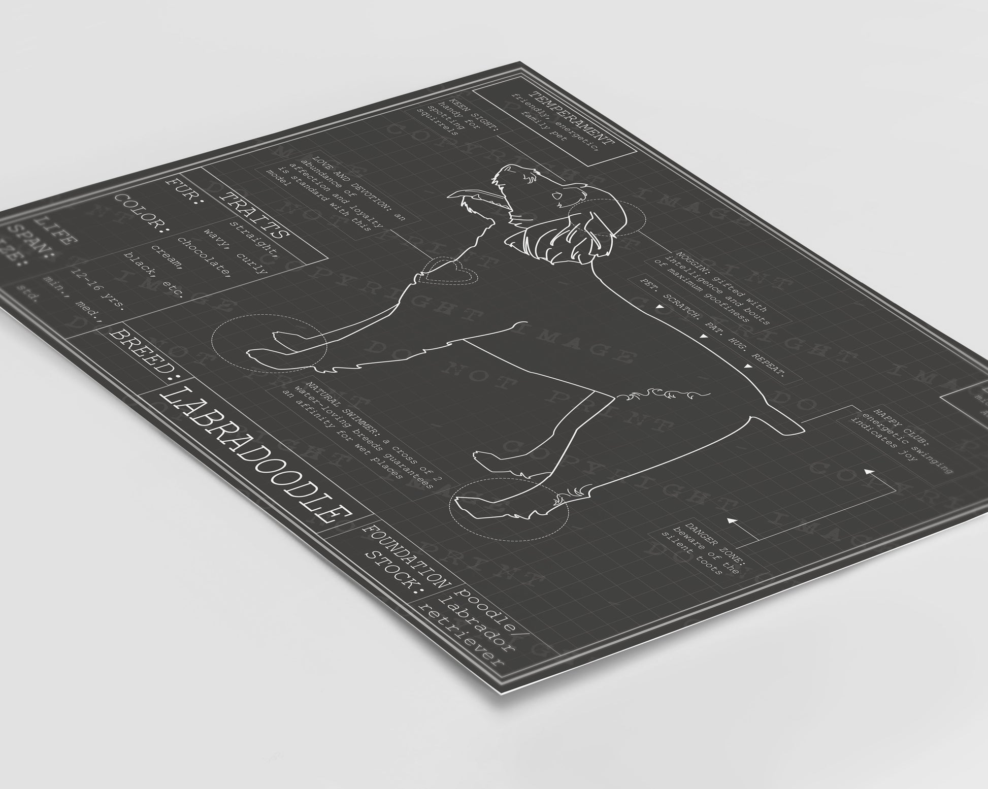 Downloadable labradoodle dog breed blueprint artwork