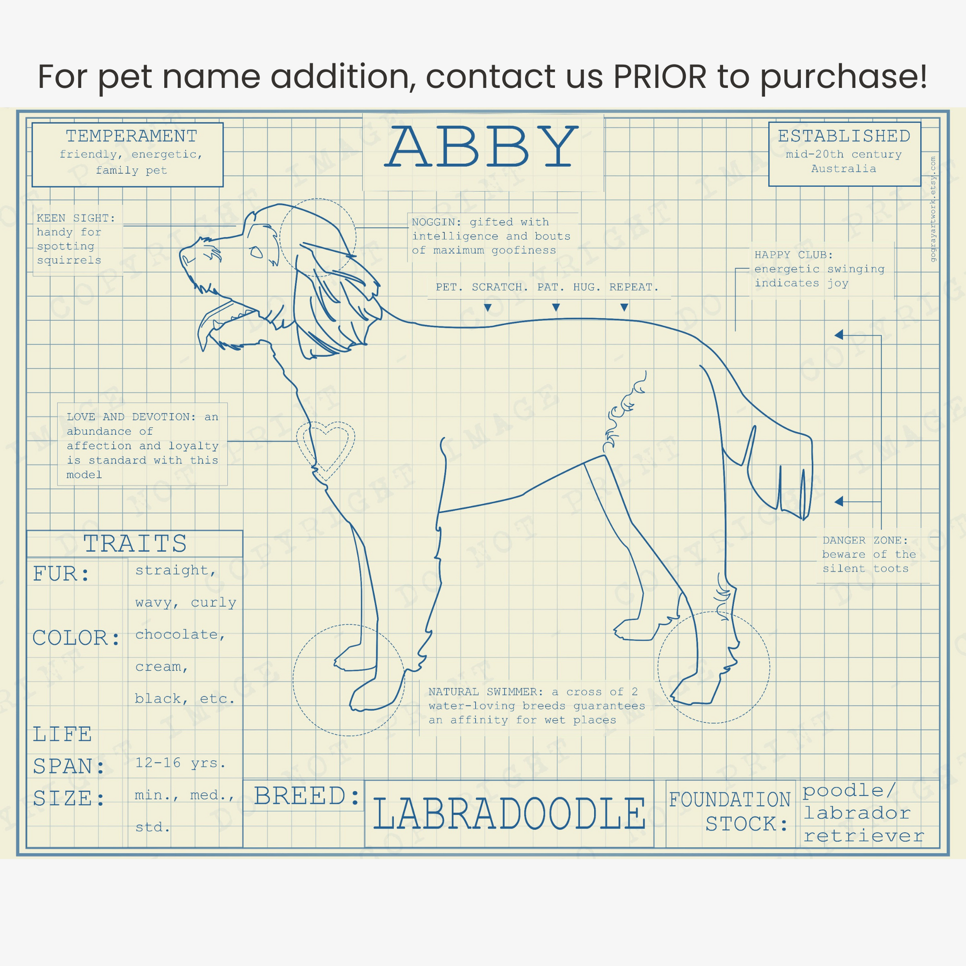 Downloadable labradoodle dog breed blueprint artwork