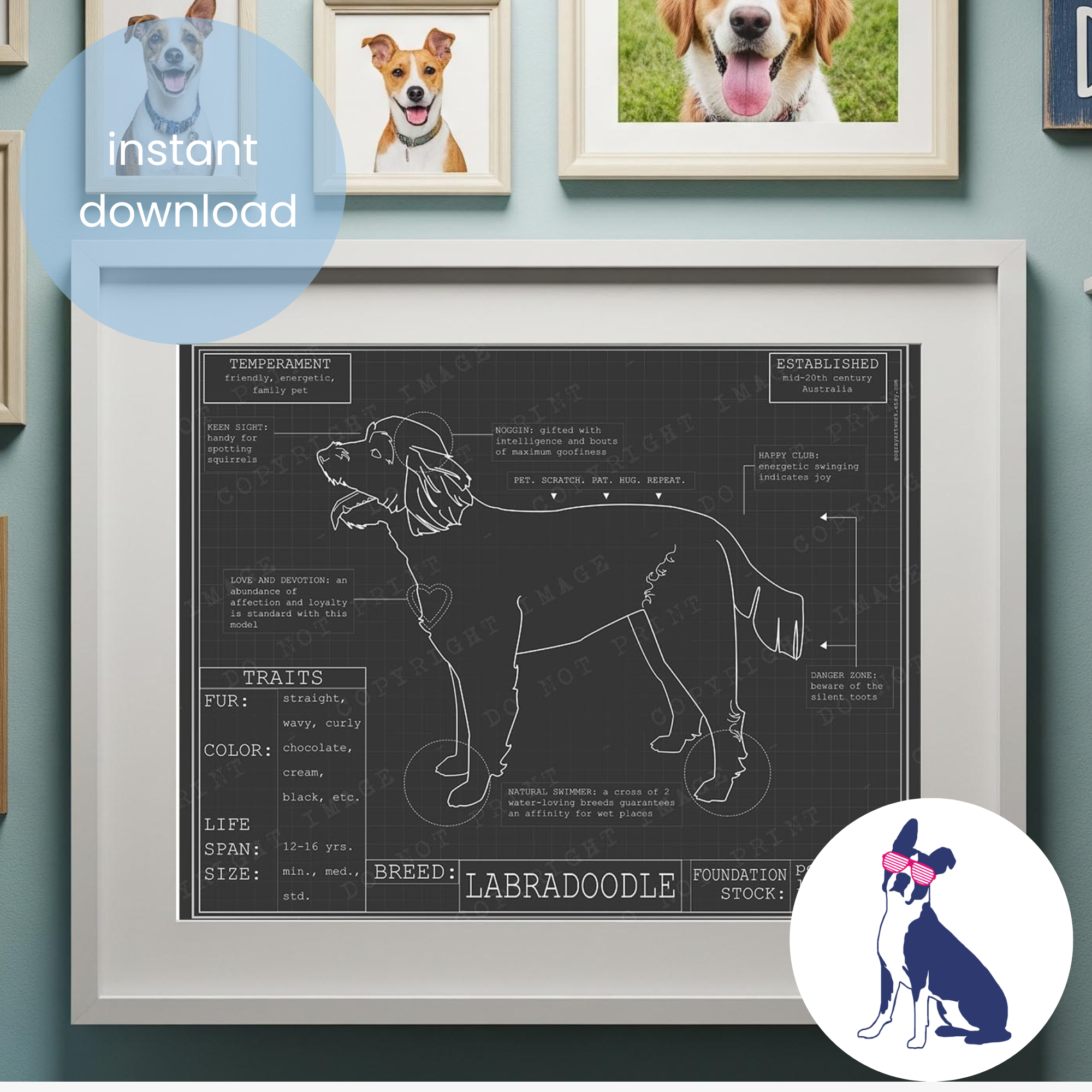 Downloadable labradoodle dog breed blueprint artwork