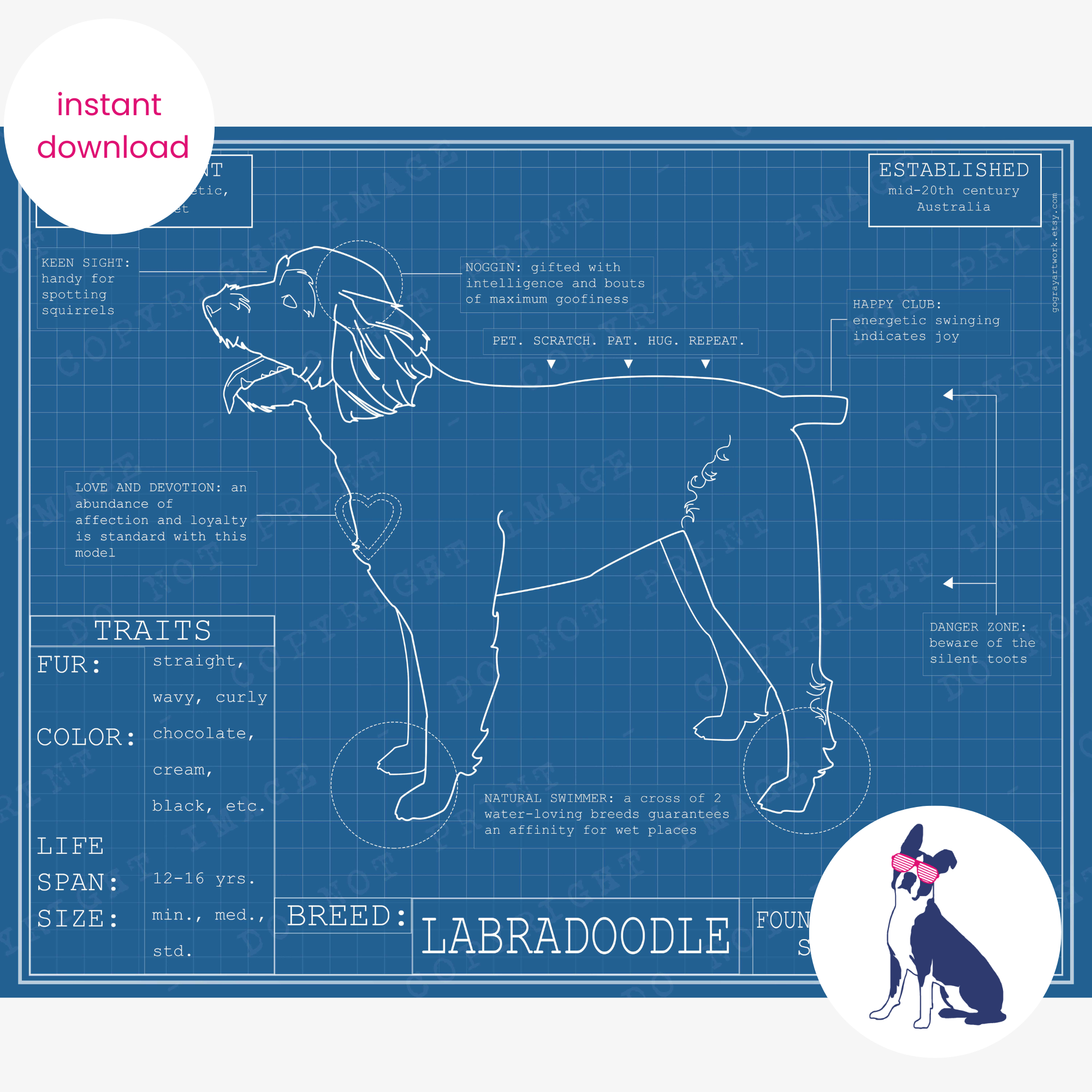 Downloadable labradoodle dog breed blueprint artwork