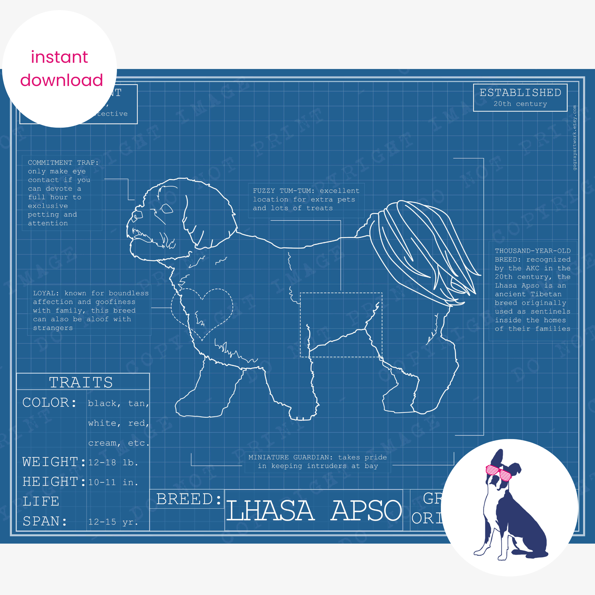 Downloadable Lhasa Apso dog breed blueprint artwork