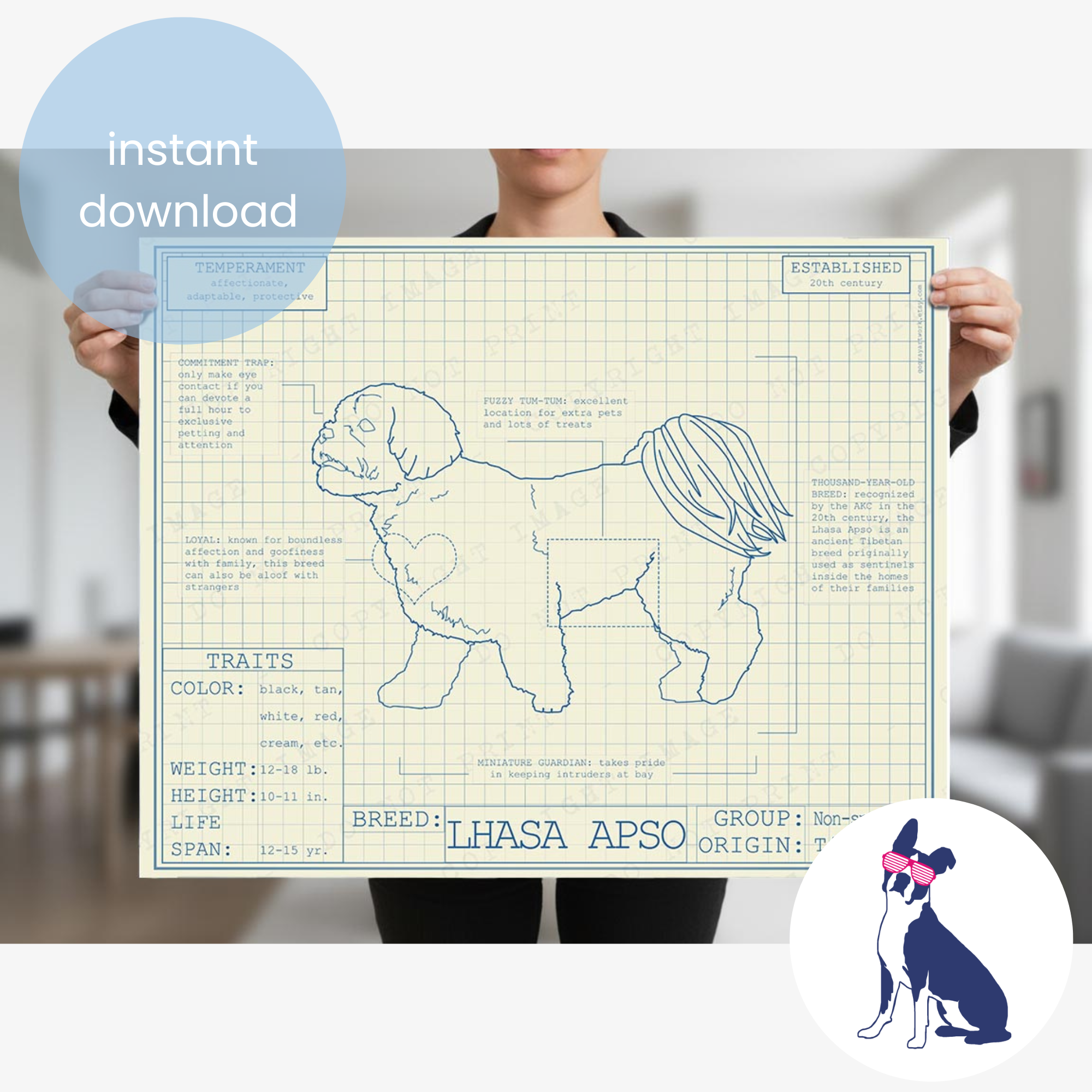 Downloadable Lhasa Apso dog breed blueprint artwork