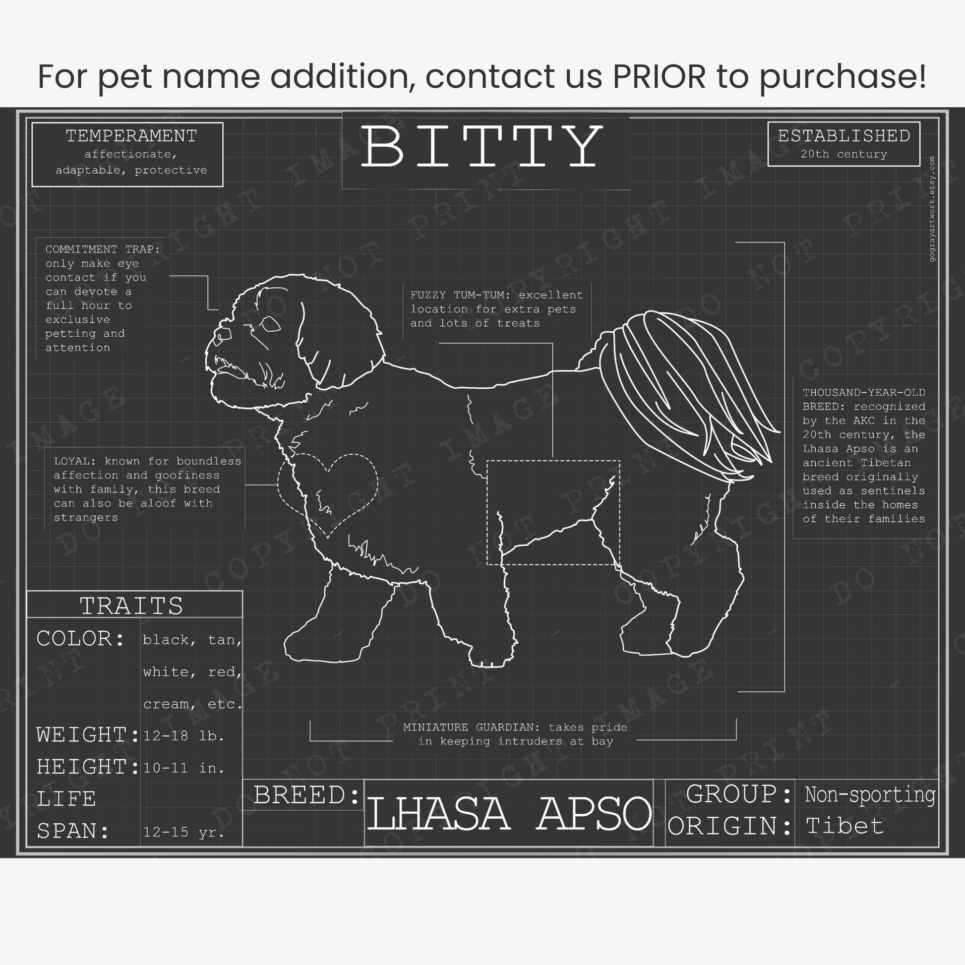 Downloadable Lhasa Apso dog breed blueprint artwork