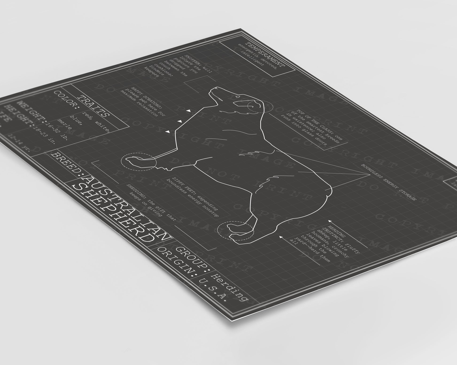 Blueprint of Australian Shepherd poster artwork