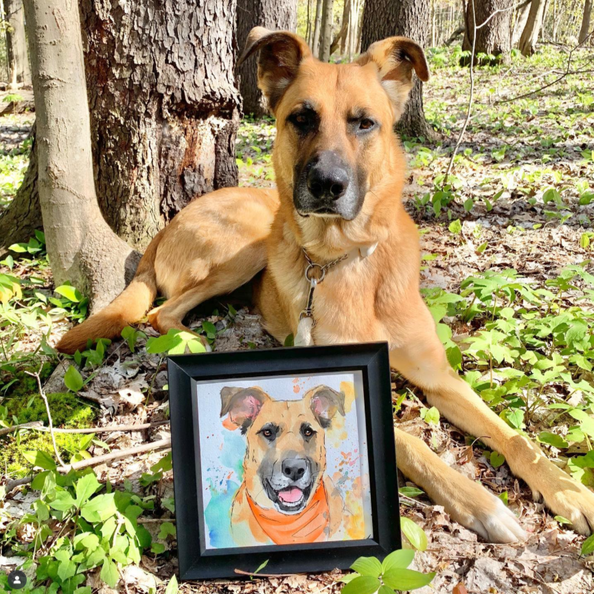 Dog lying in a forest with a framed picture of itself