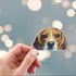 Peeking beagle sticker