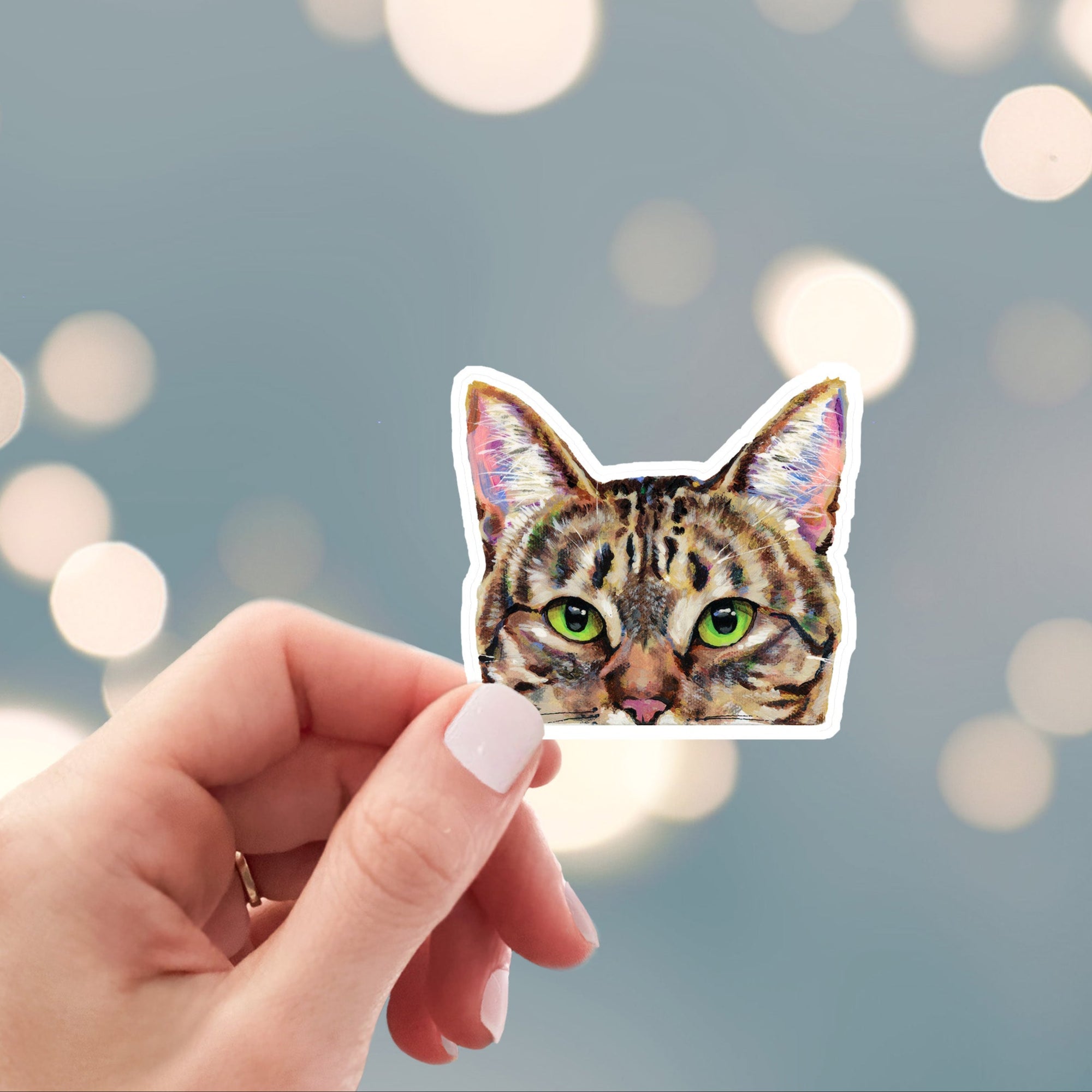 Peeking brown tabby cat sticker