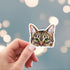 Peeking brown tabby cat sticker