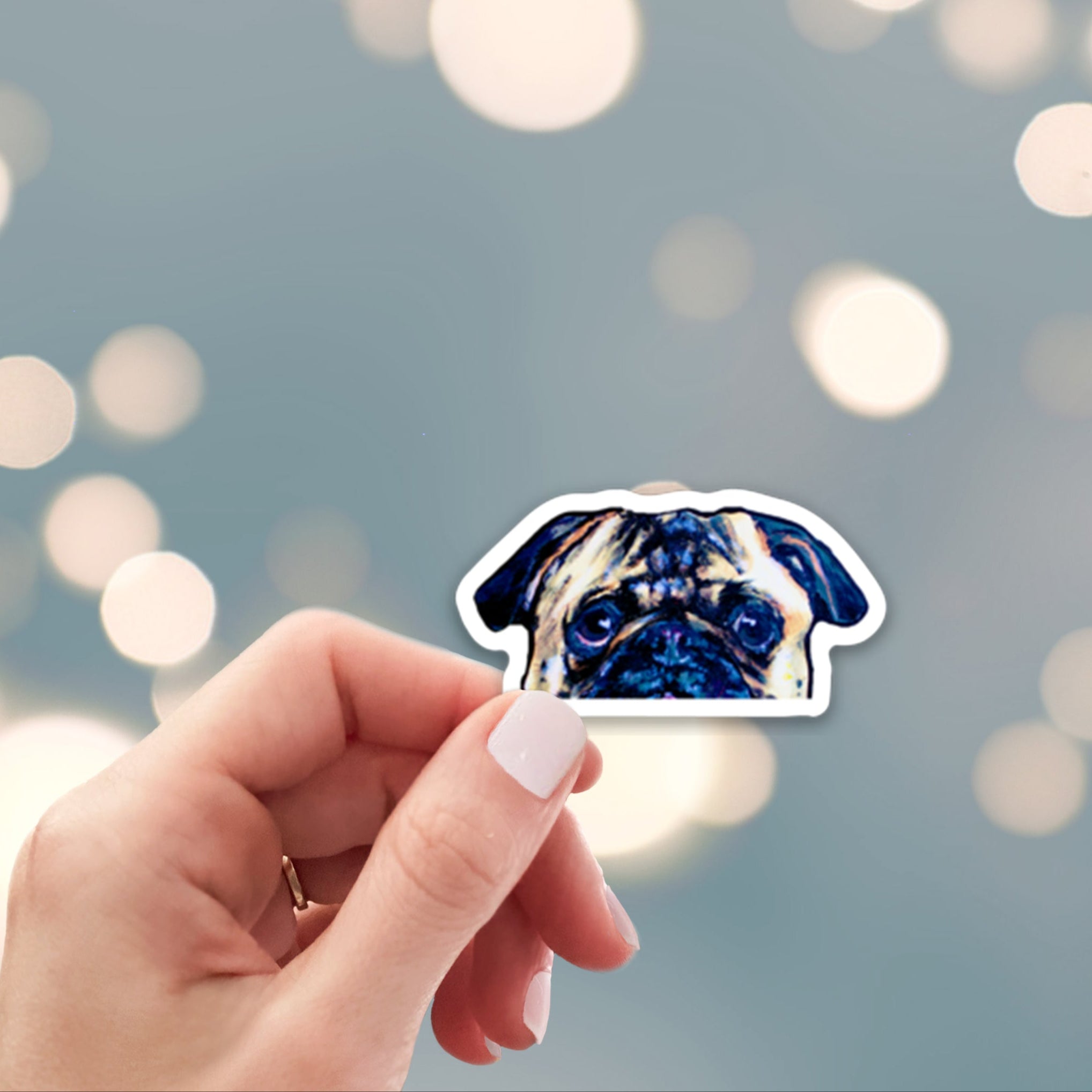 Peeking pug dog sticker